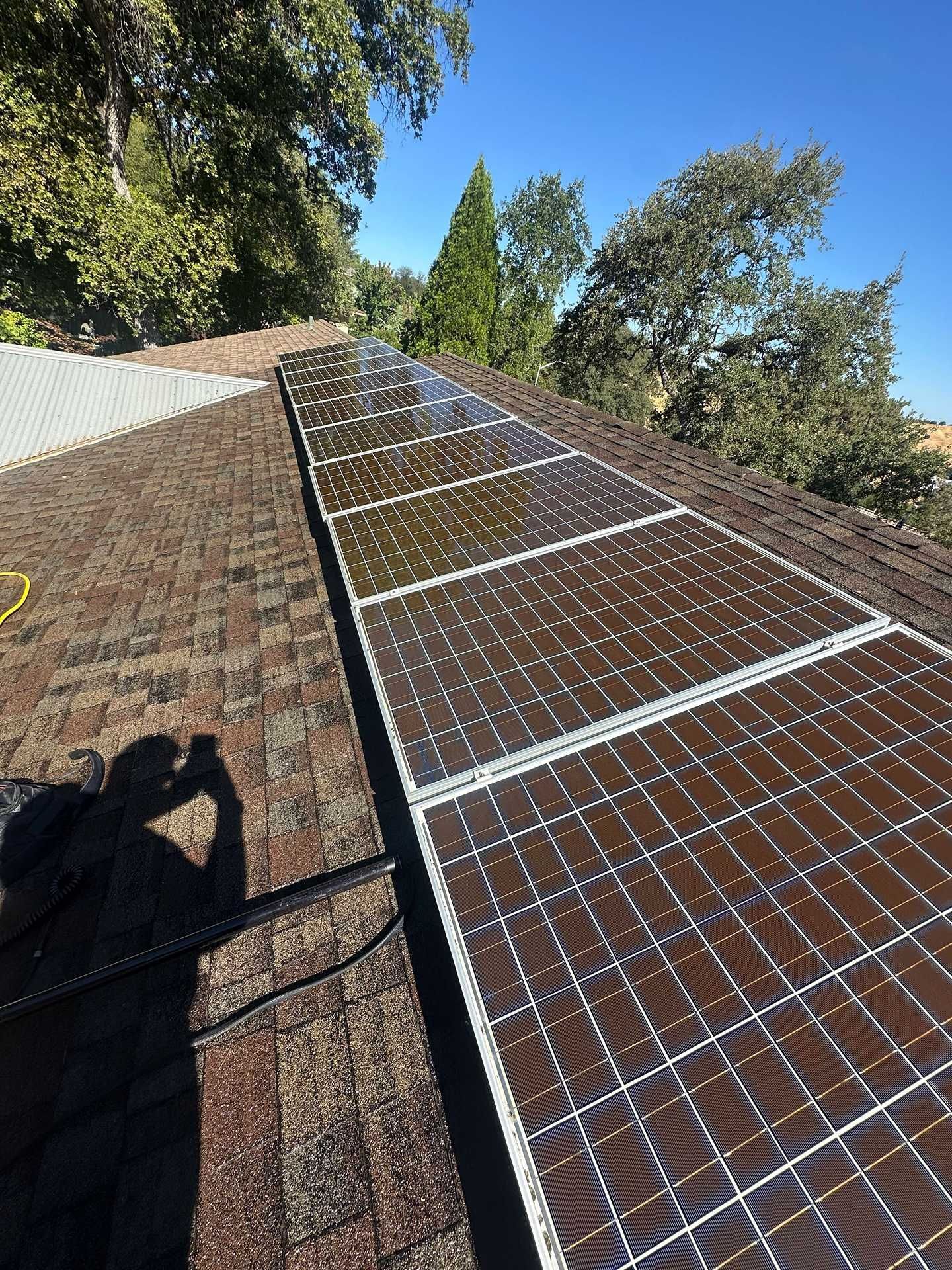 Solar panels mounted on a shingled rooftop beside trees under a clear blue sky