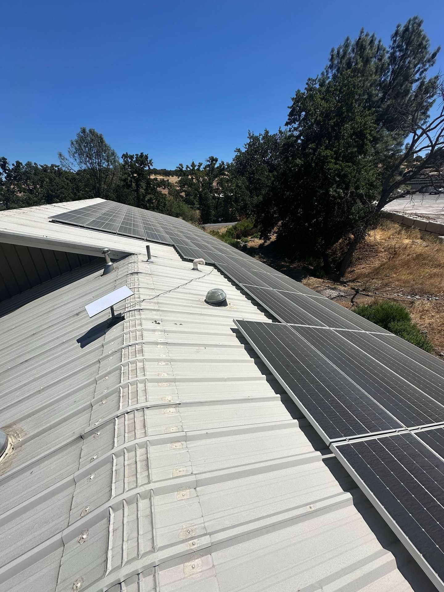 Rooftop with rows of solar panels under a clear blue sky beside trees and dry hillside.