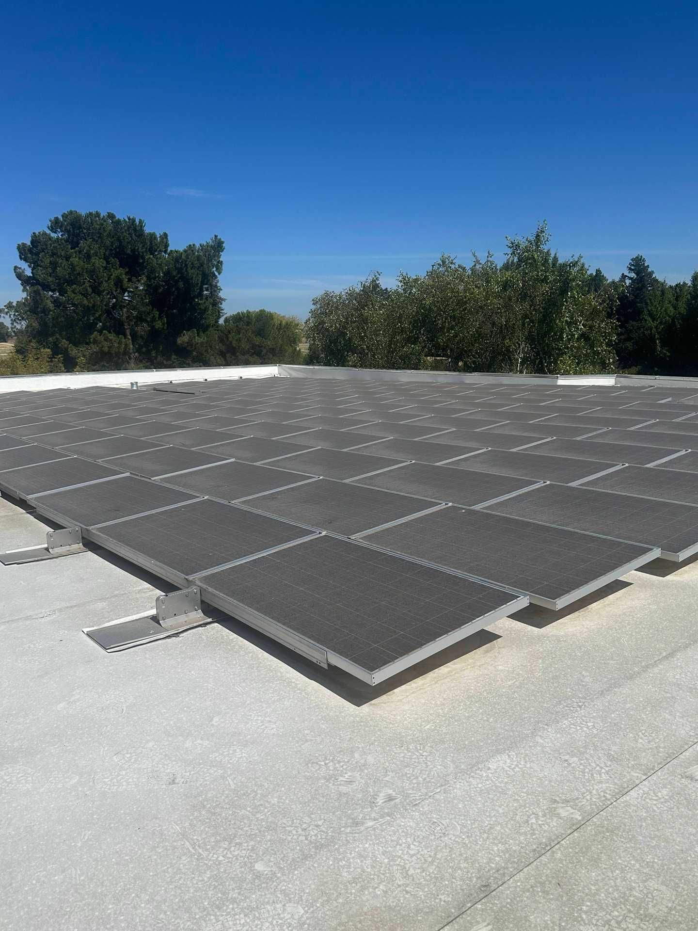 Solar panels on a flat rooftop under a clear blue sky, with trees in the background.