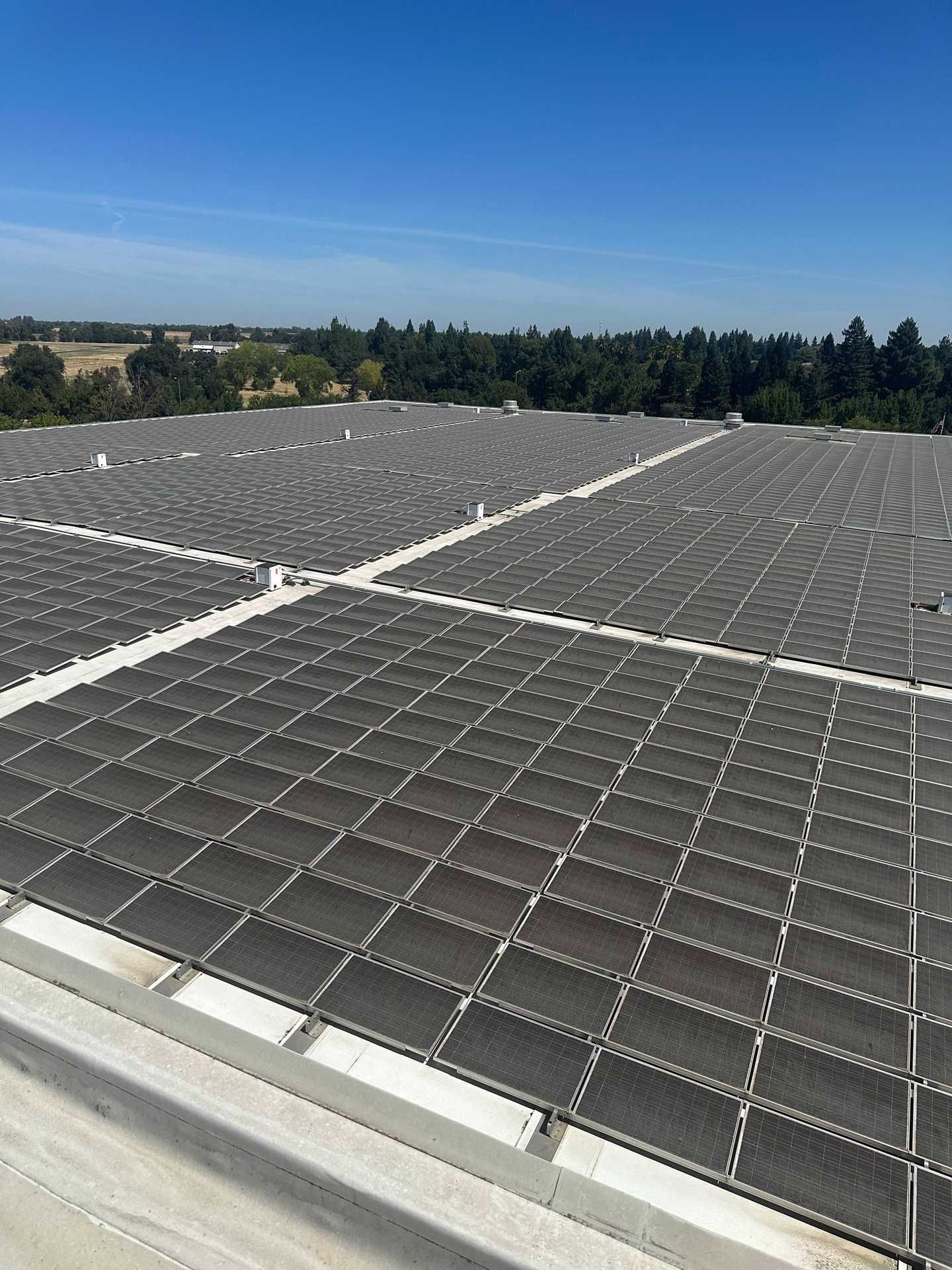Solar panels covering a rooftop under a clear blue sky, with trees and buildings in the distance.