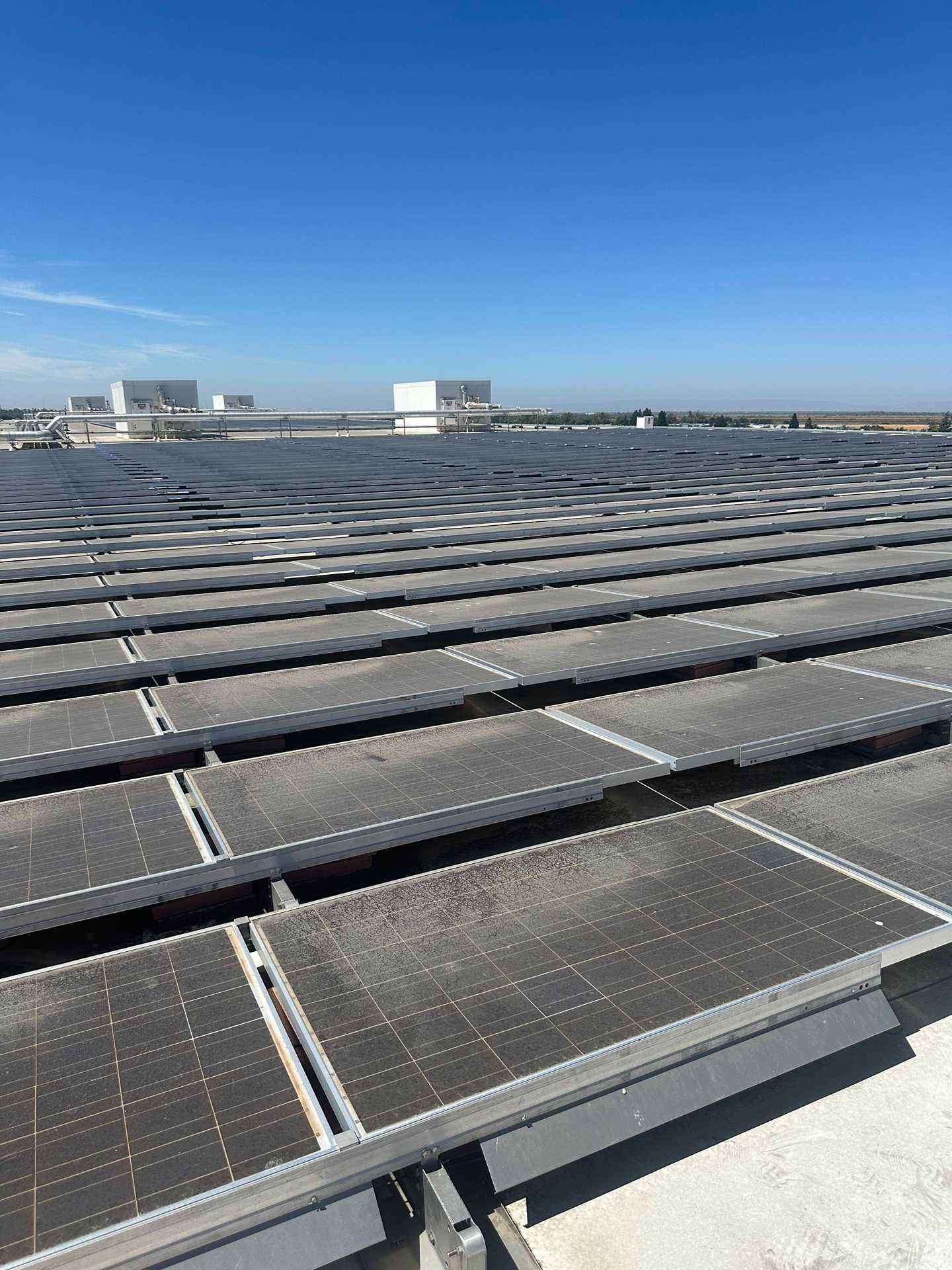 Rows of rooftop solar panels under a clear blue sky, with distant buildings on the horizon