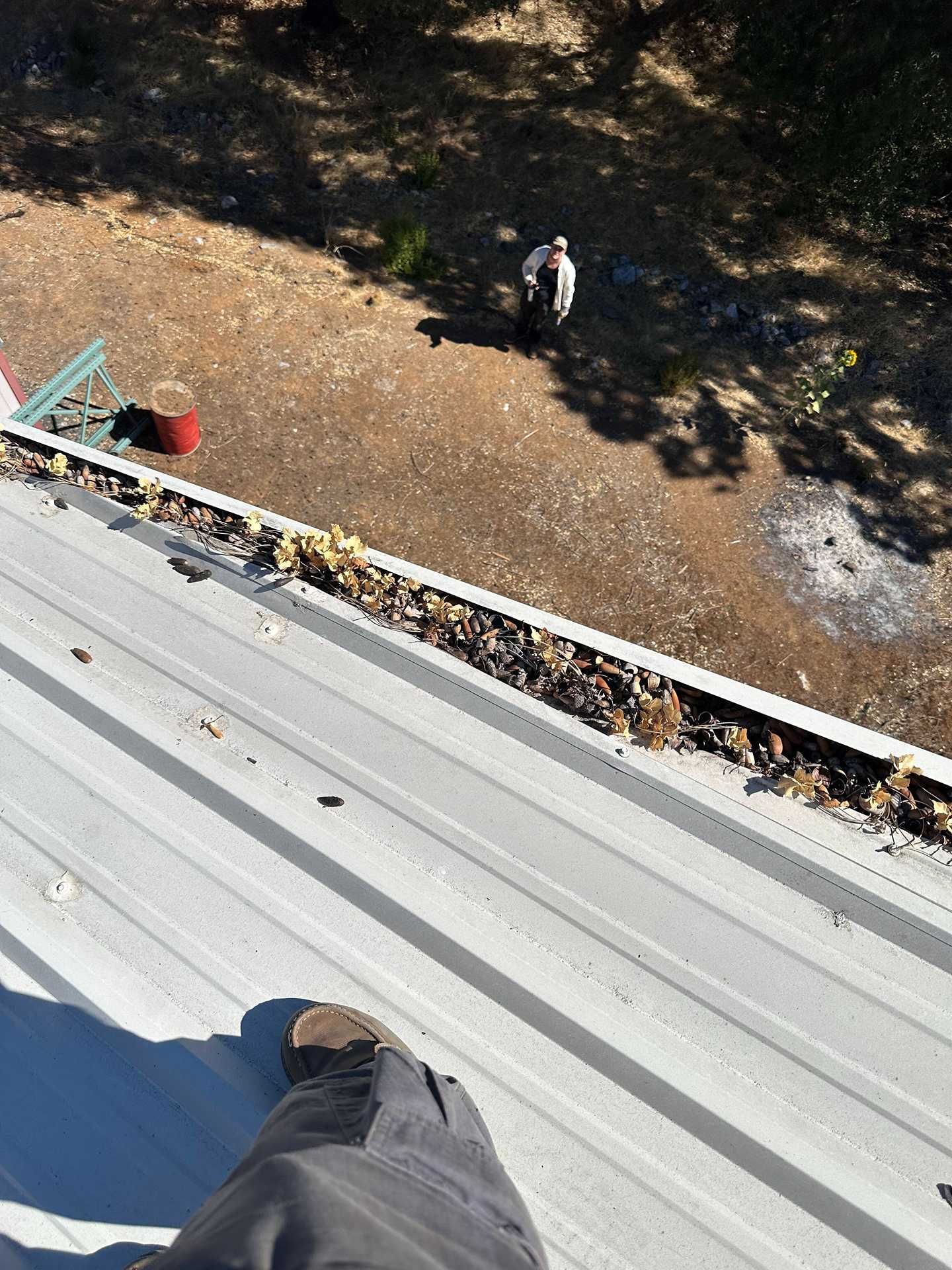 Person standing on the ground below a roof, near trees and a red object.