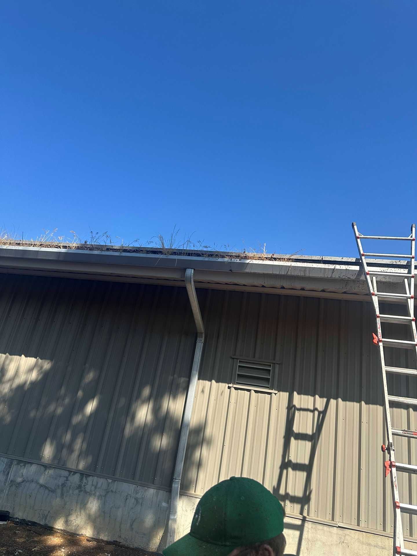 Gray building wall and roof under a blue sky, with a ladder on the right and a green object in the foreground