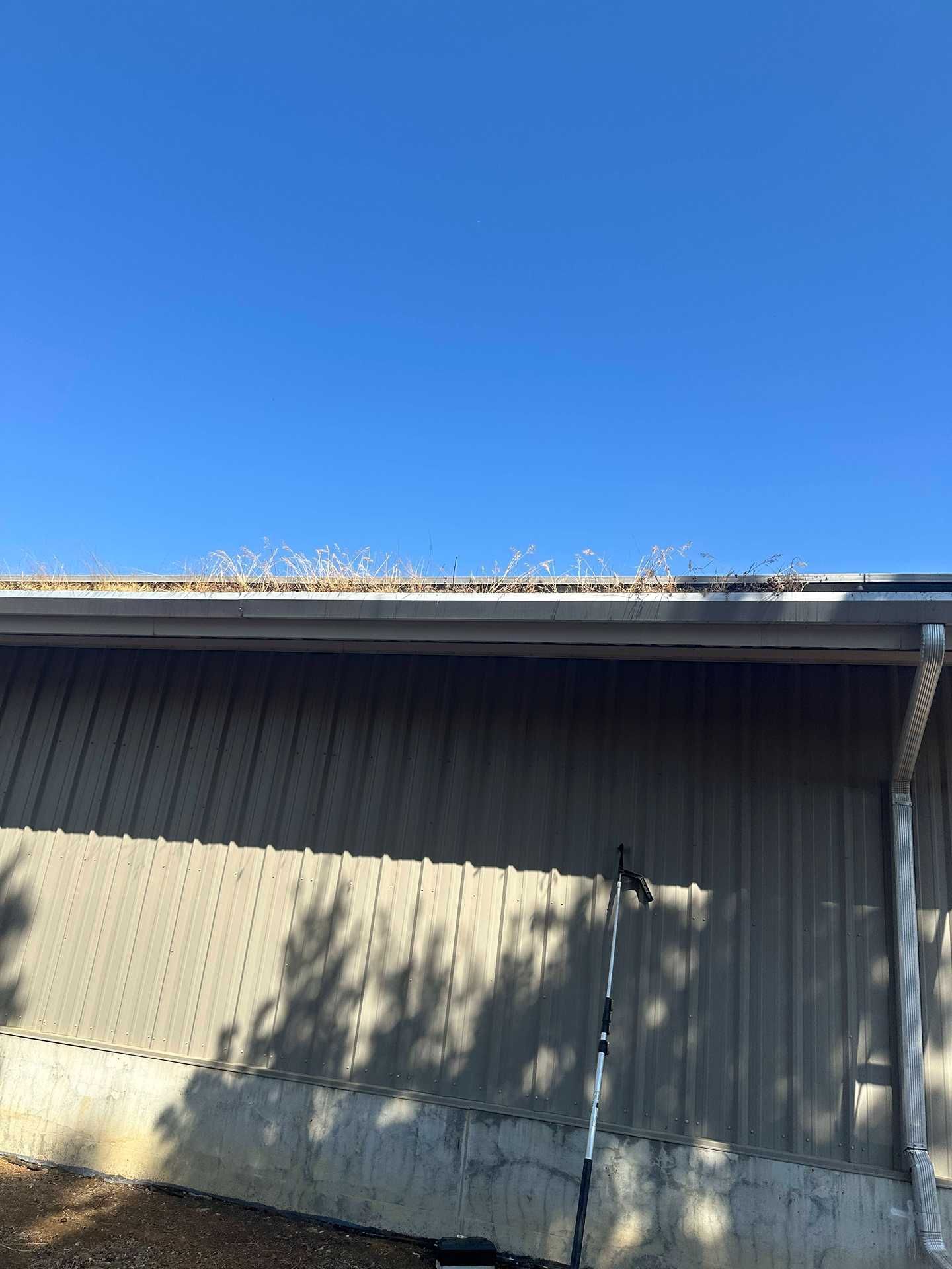 Exterior of a beige building with a corrugated roof and blue sky above