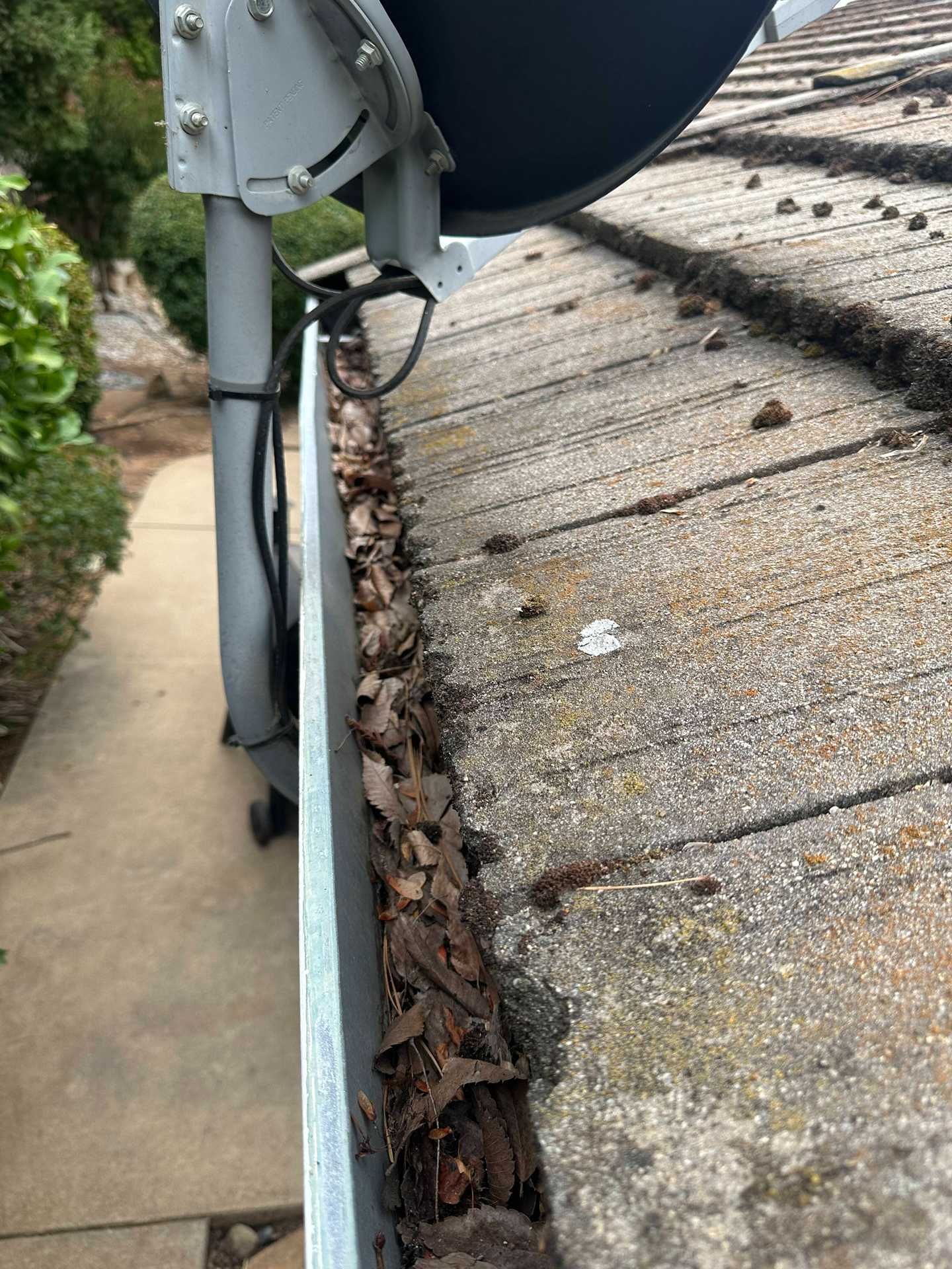 Storm gutter and downspout beside a sidewalk, clogged with leaves and debris.