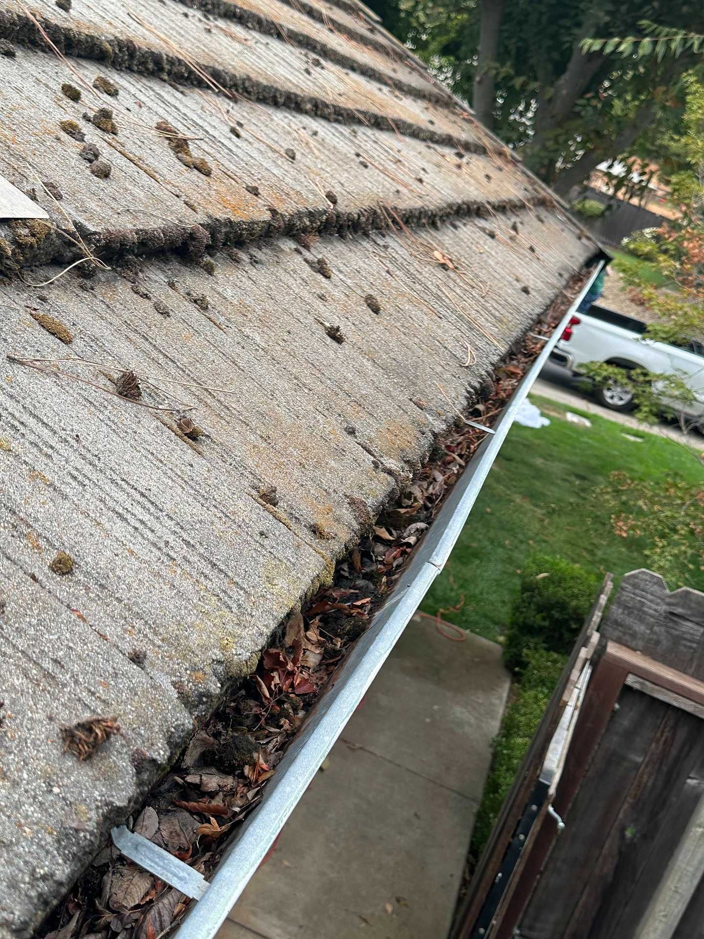 Roof gutter filled with leaves and debris beside a sidewalk and grassy yard