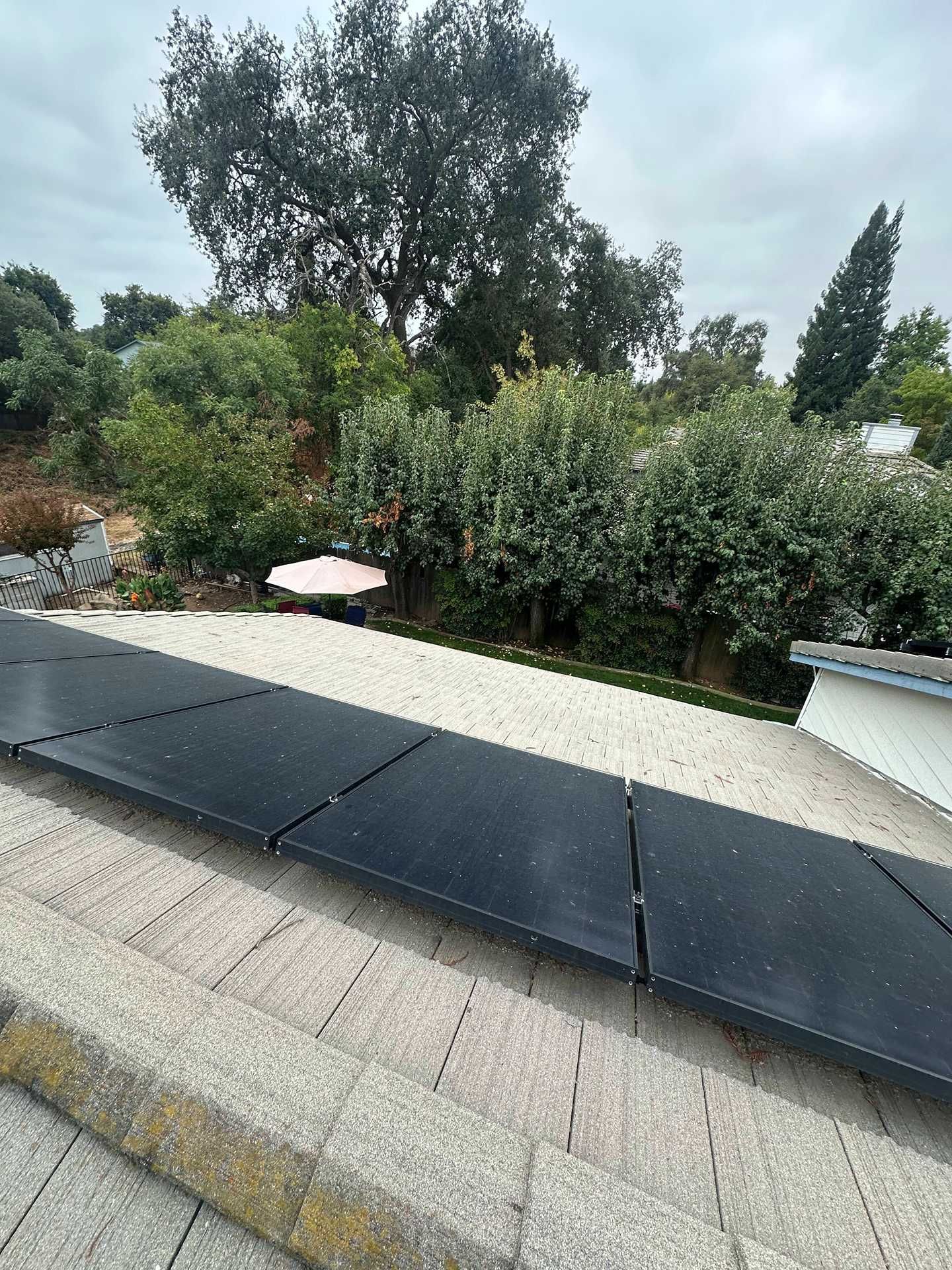 Black solar panels mounted on a sloped rooftop with trees and shrubs in the background