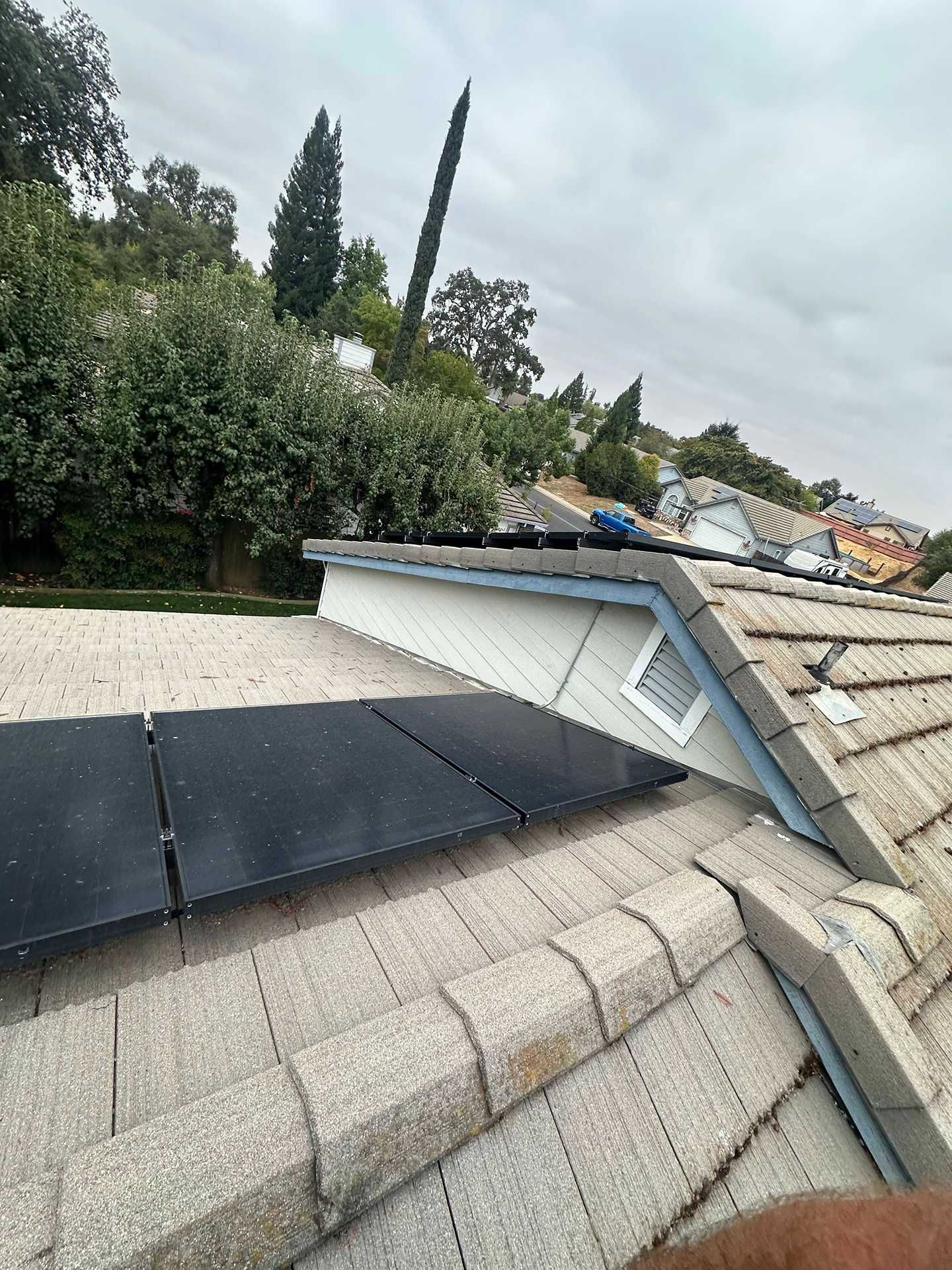 Rooftop with damaged shingles, roof underlayment exposed, and trees in the background.