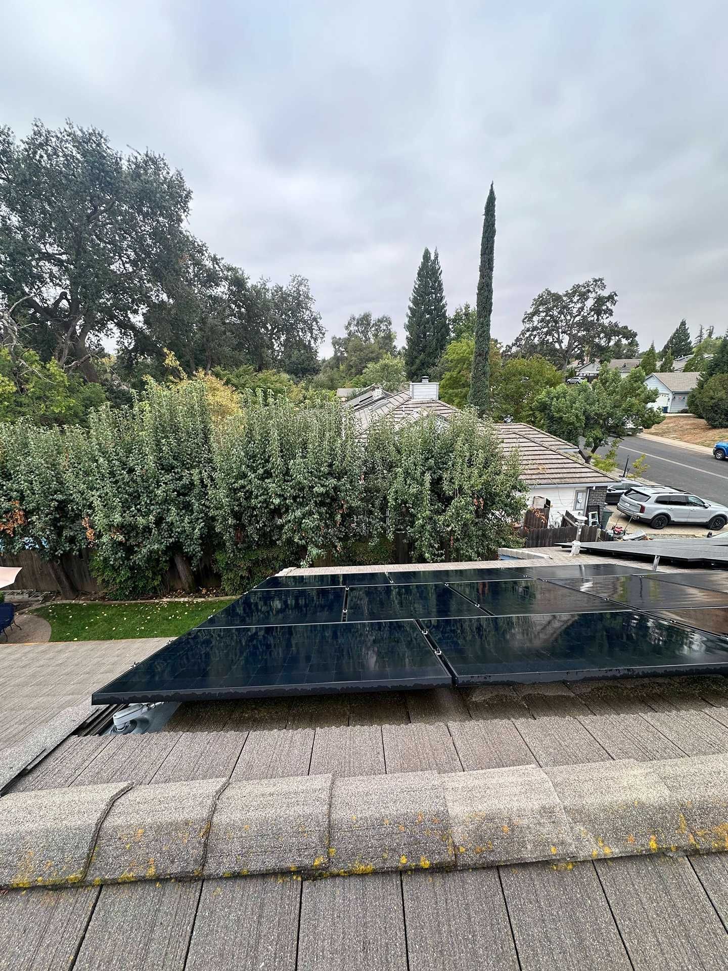 Backyard with a black-tiled water feature, surrounded by shrubs and trees under an overcast sky