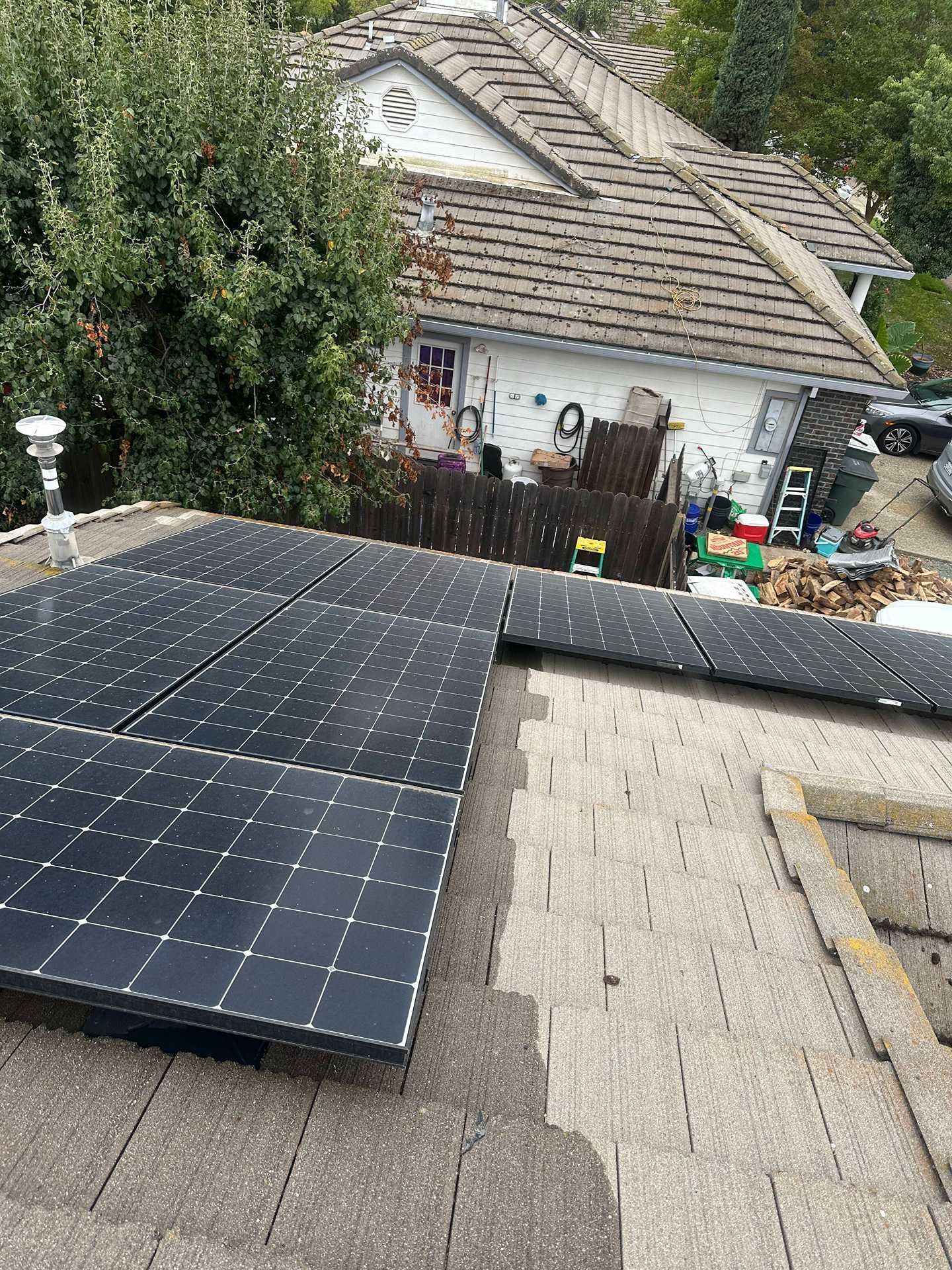 Solar panels on a sloped shingle roof beside a tree and neighboring house.