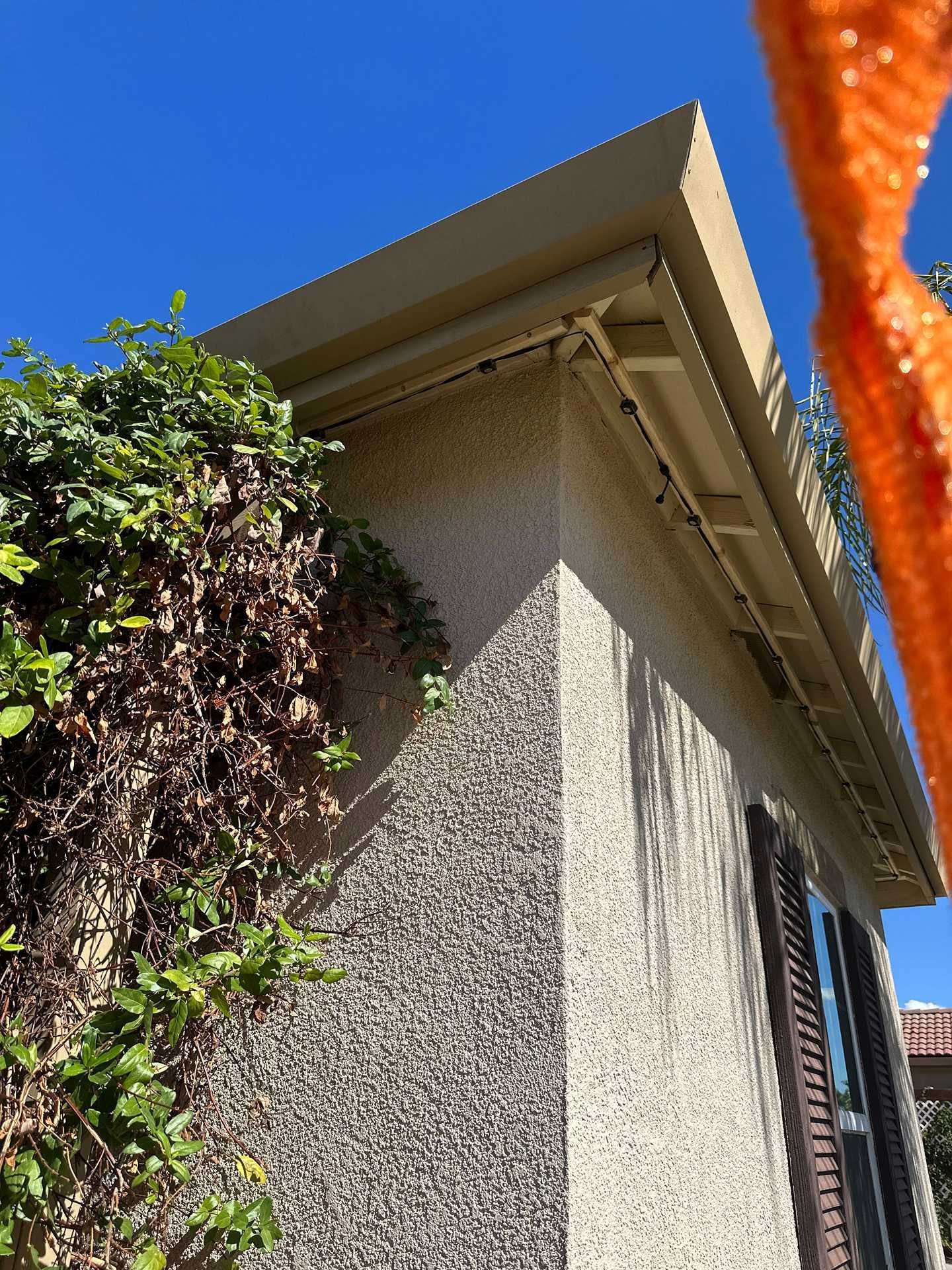 Close-up of a stucco house corner with beige eaves, green vines, and orange netting against a blue sky