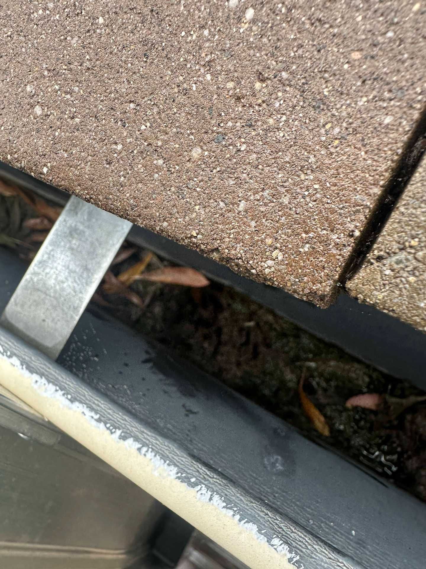 Close-up of a roof gutter with a metal strap and brown shingles above it.