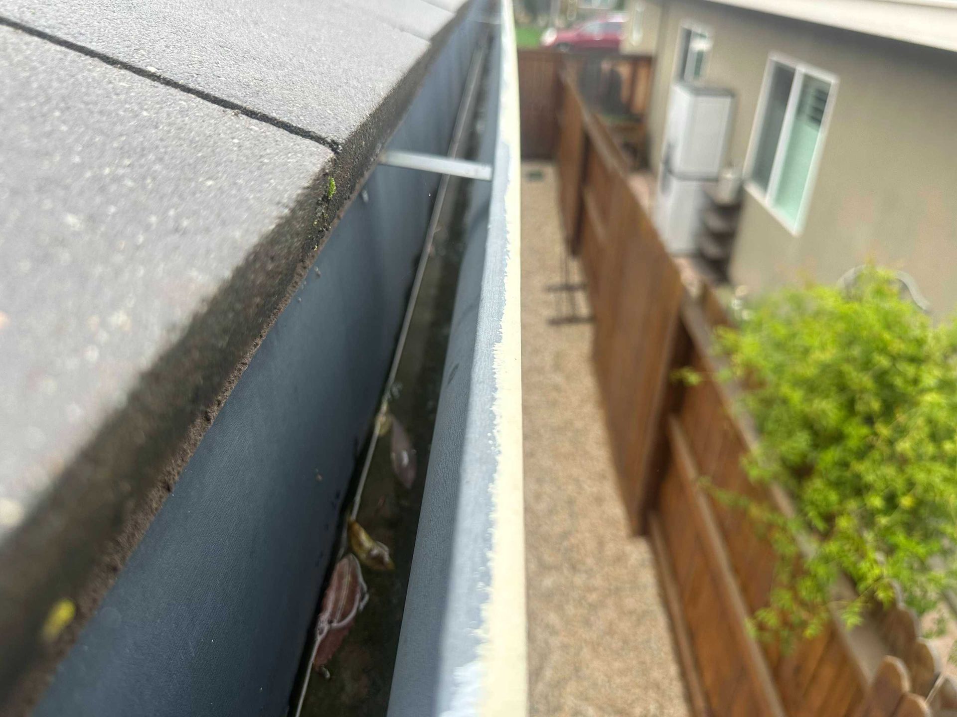 Roof gutter lined with leaves beside a house and wooden fence