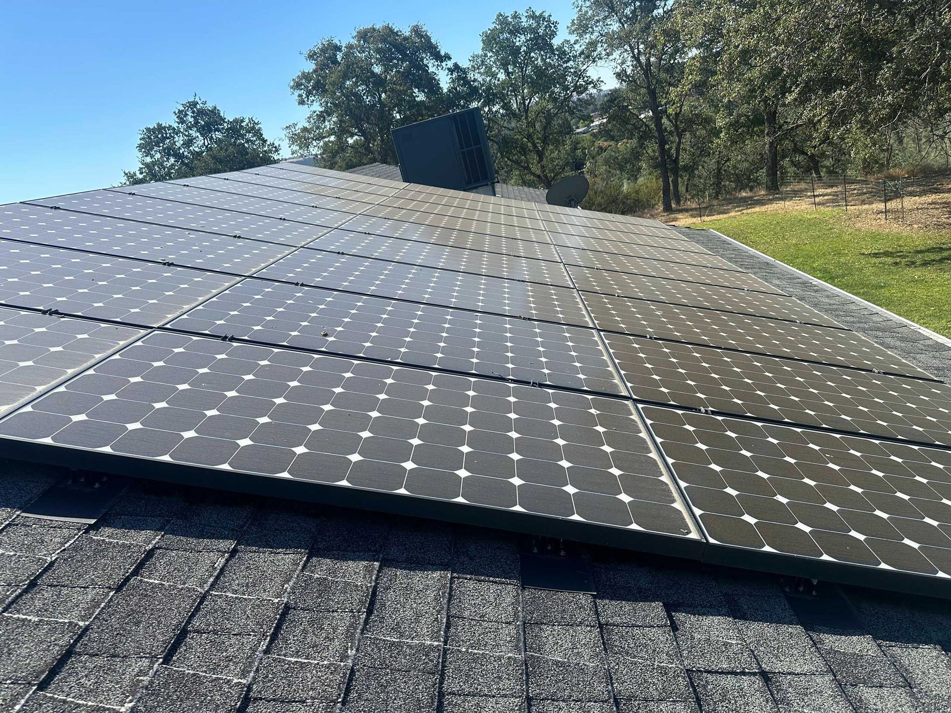 Solar panels covering a sloped rooftop under a clear sky, with trees in the background