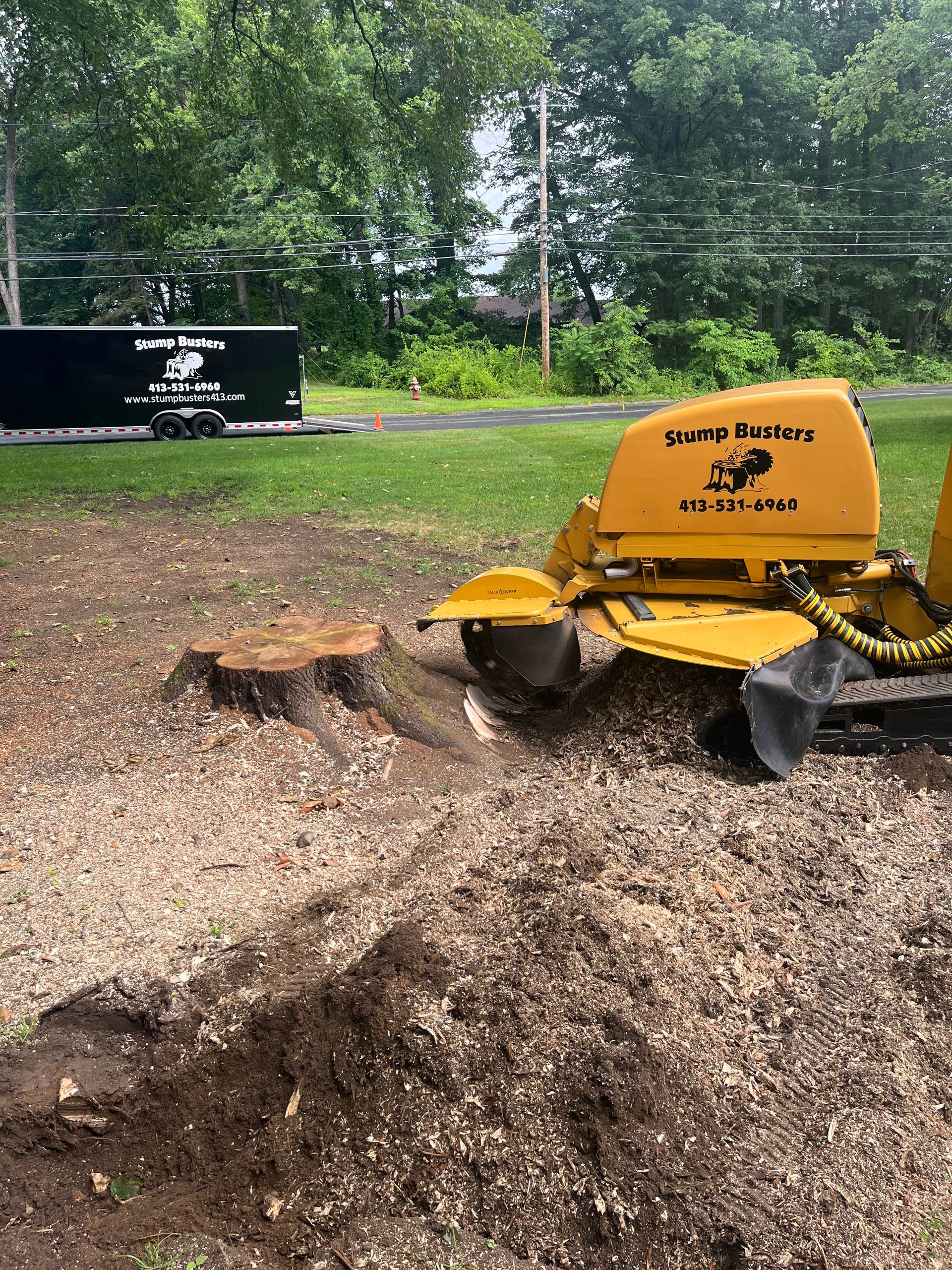 Stump Grinding Gallery | Stump Busters