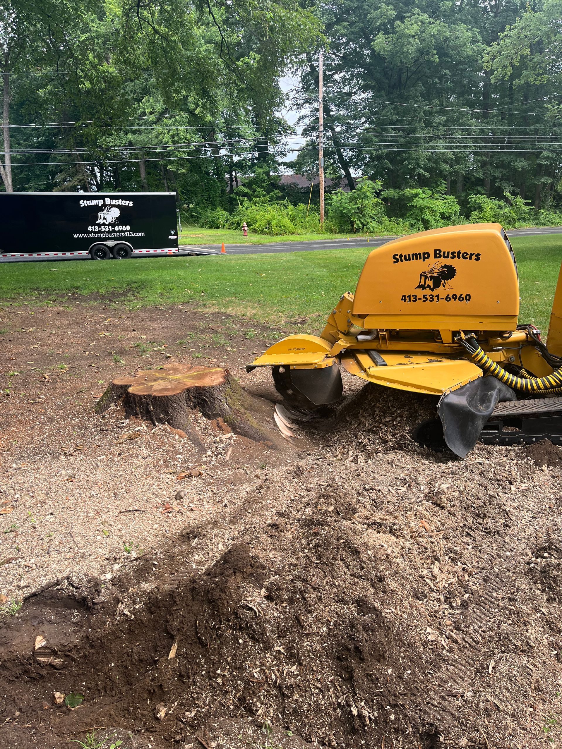 Stump grinder in action, grinding a tree stump. Yellow machine, wood chips, and a black storage container are visible.