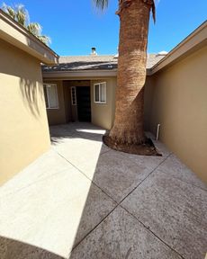 Sunny courtyard with tan walls and a large palm tree in the center