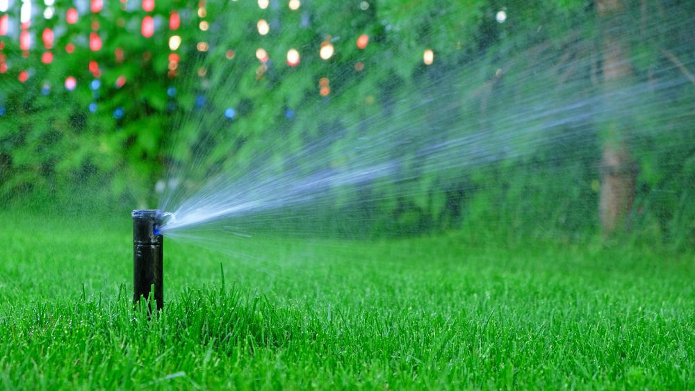 Garden sprinkler spraying water over green grass in a lush yard