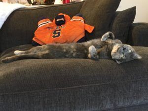 My cat and my one piece of college memorabilia