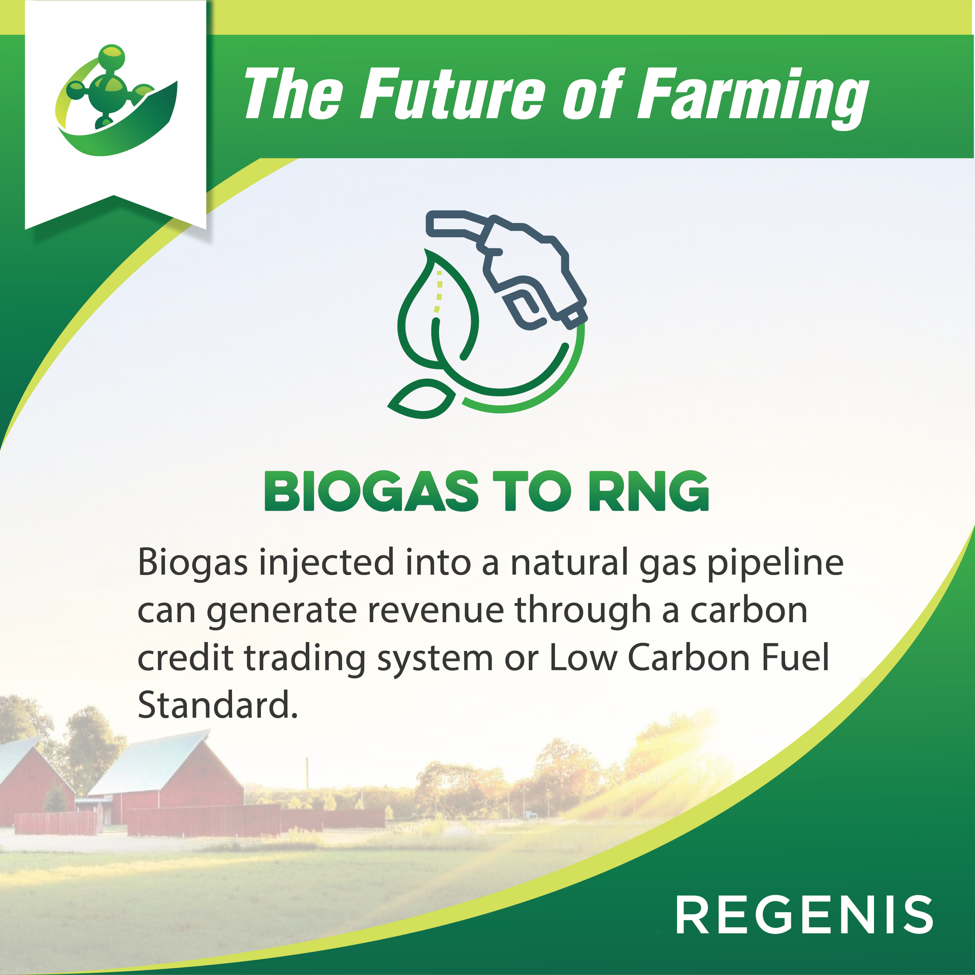 We produced a branded series of social media posts for Regenis to capture the RNG rush.