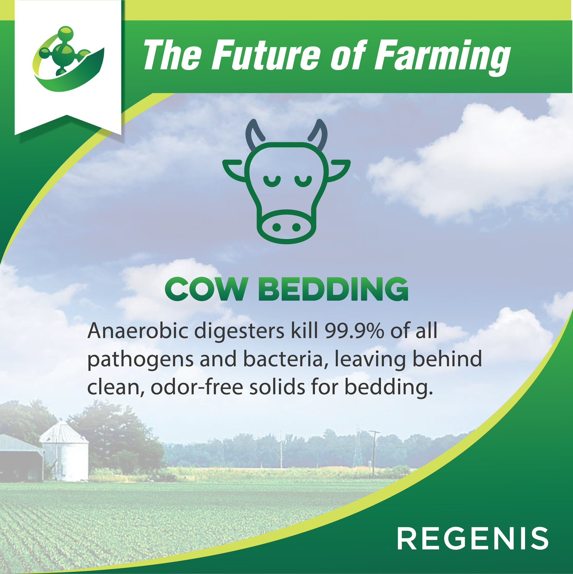 A co-product created by anaerobic digestion is soft, pathogen free bedding for cows.