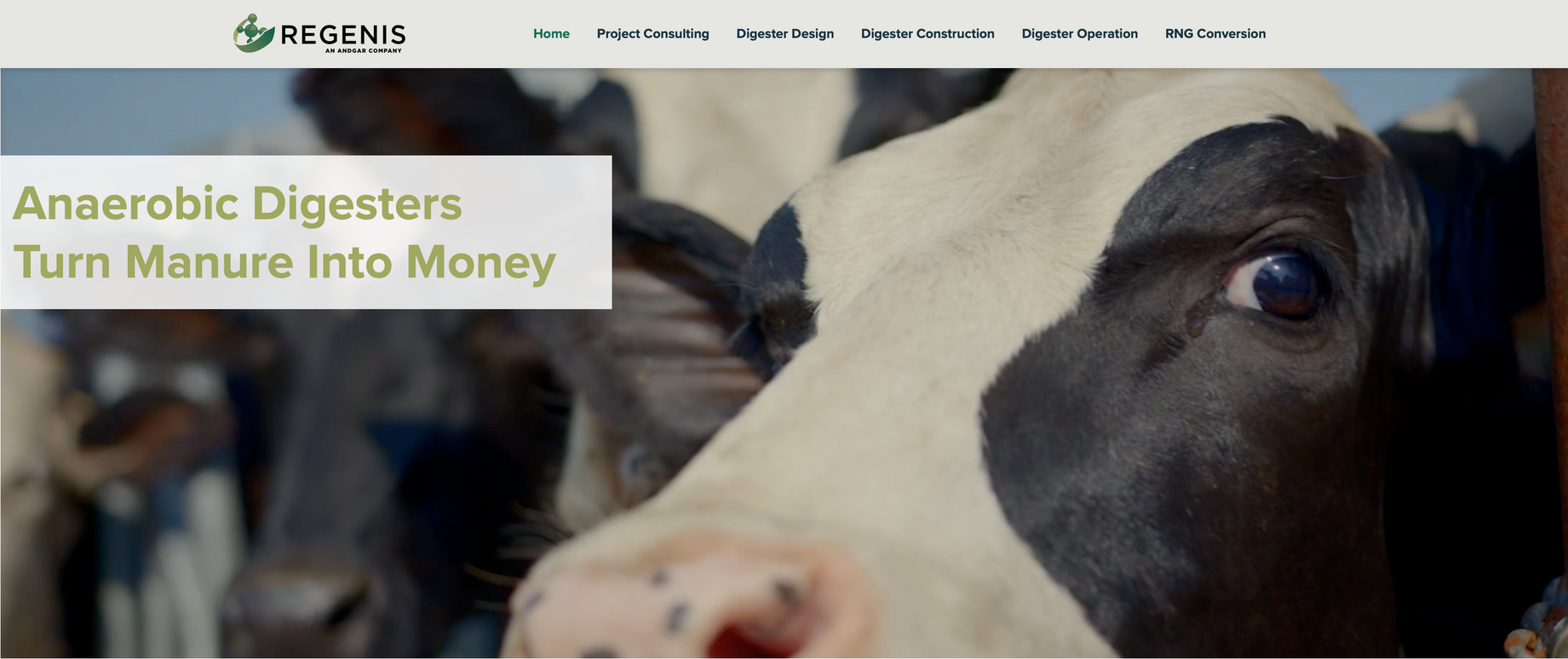 Website banner showing a cow in a barn with text: “Anaerobic Digesters Turn Manure Into Money.”