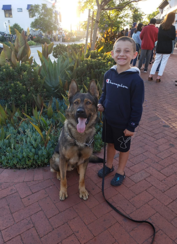 Boy smiling next to a German Shepherd dog on a brick sidewalk with sunlight.