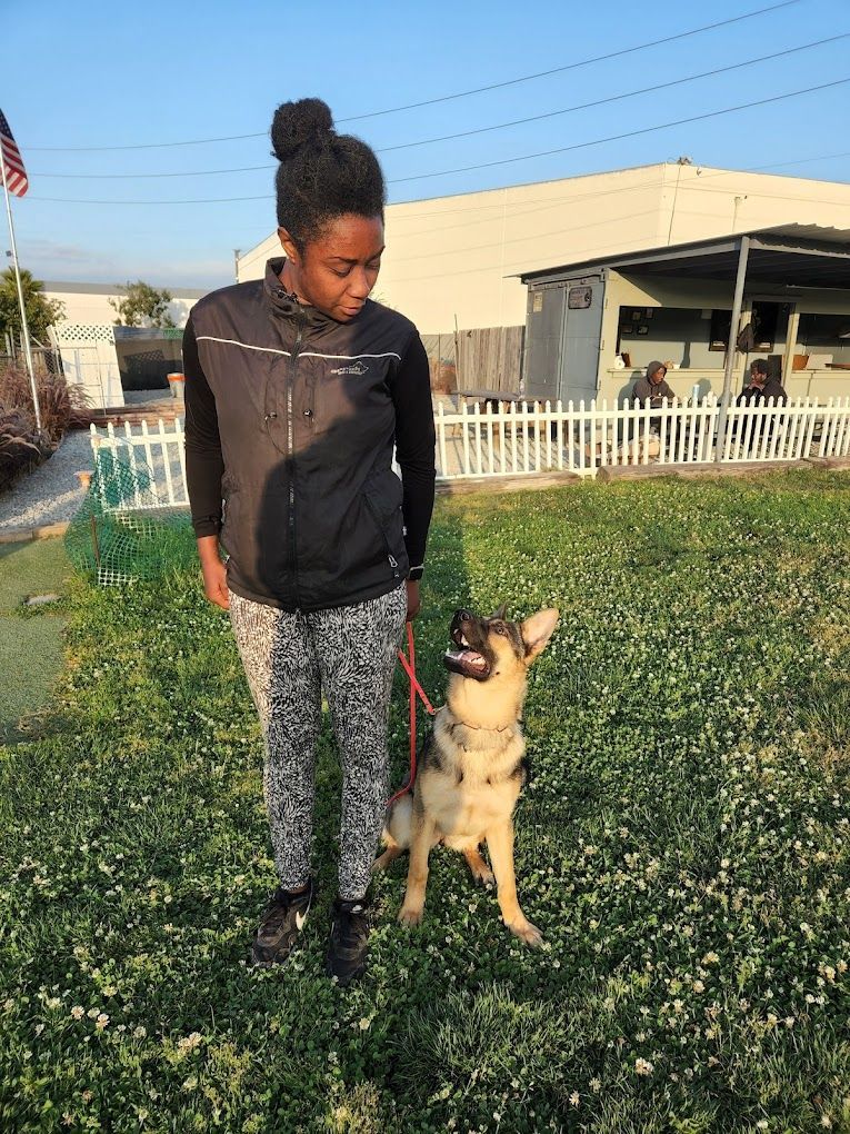 A young person with a dog outdoors. The person wears a black jacket and patterned pants. The dog is tan and black.