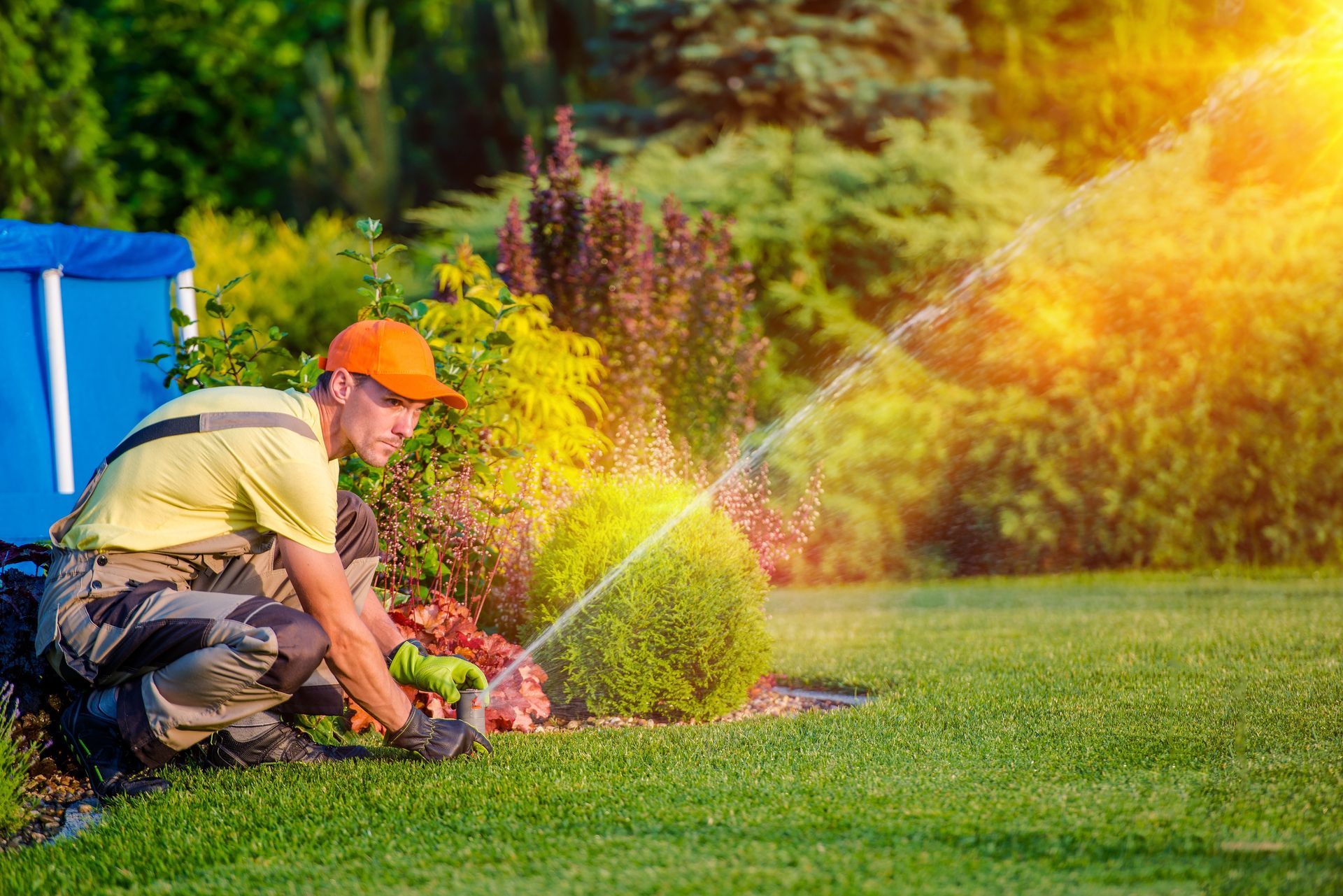 Gardener watering shrubs with a hose in a sunny backyard garden
