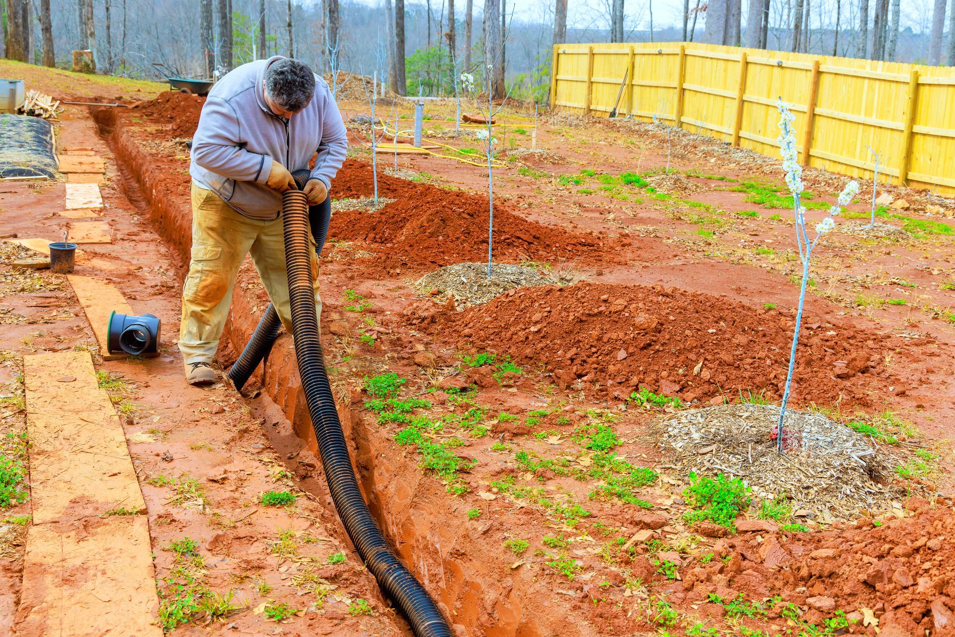 Worker laying black pipe in a muddy garden plot with young plants and yellow fencing