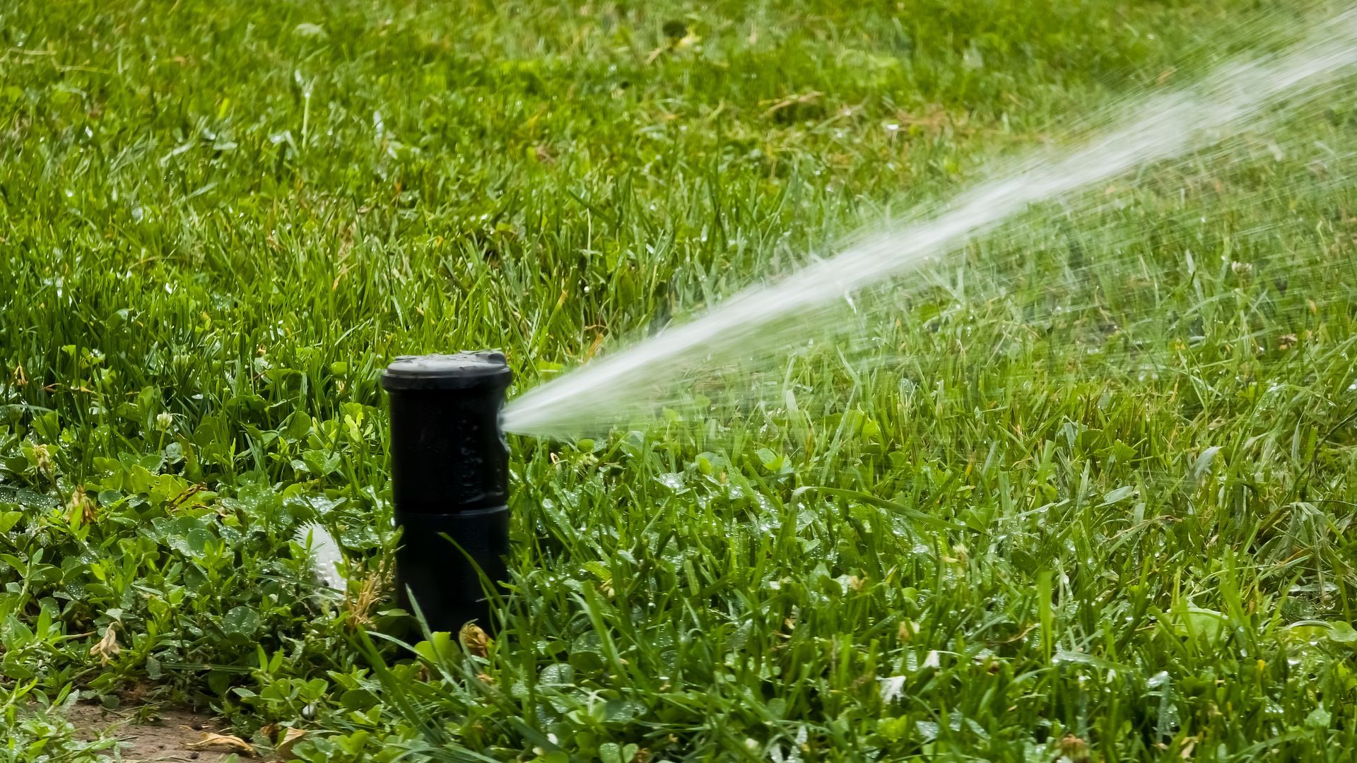 Lawn sprinkler spraying water across a green grassy yard