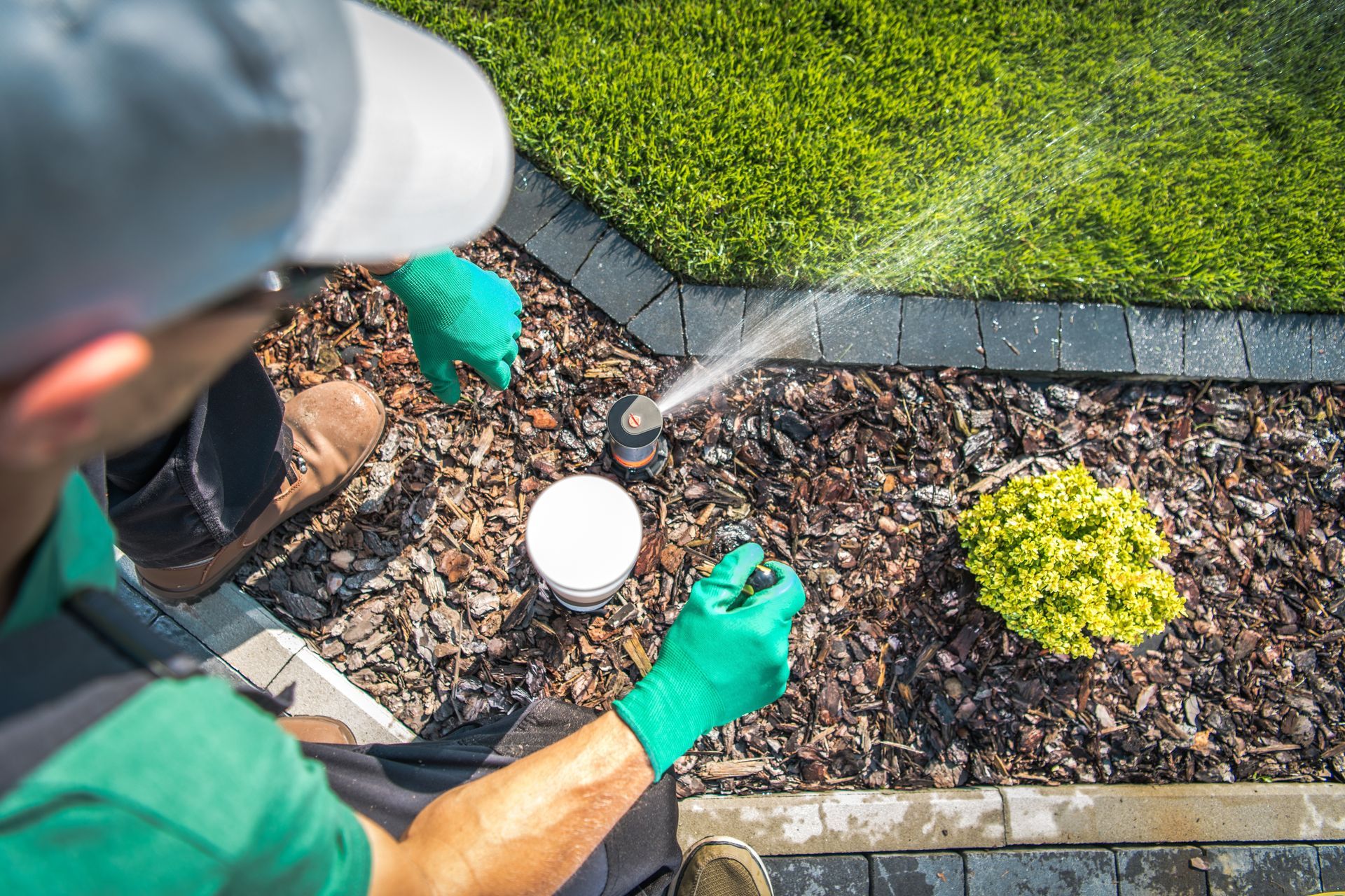 Worker in green gloves applying treatment to mulch bed beside a lawn and small shrub.