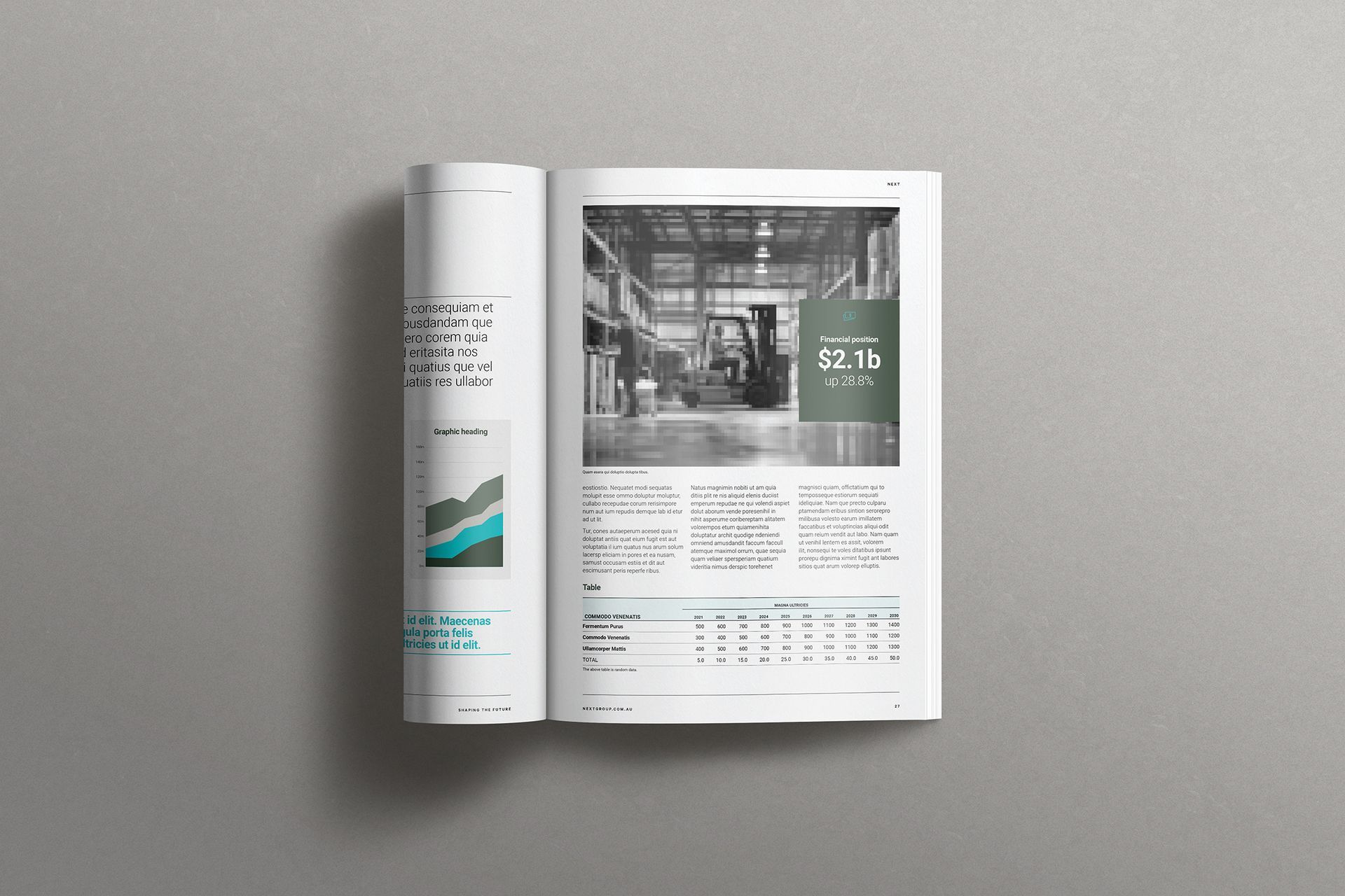 NEXT Annual Report Template Page