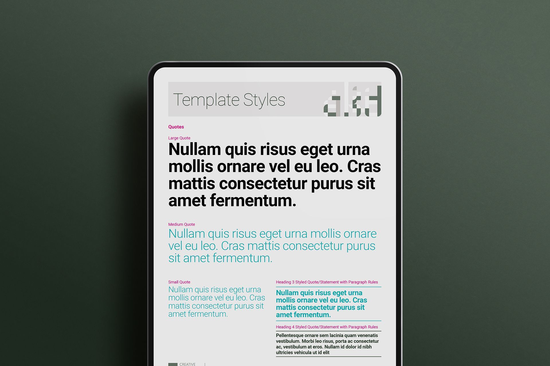NEXT Annual Report Template Styles Worksheet