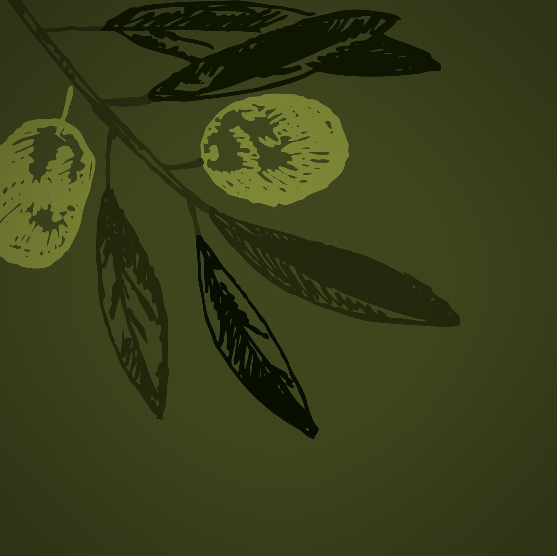 Olive's Olives