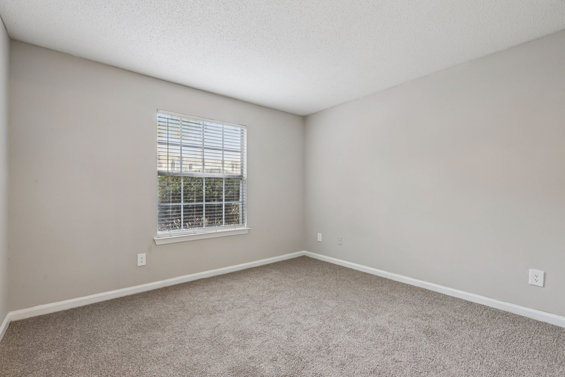 An empty room with light gray walls, beige carpet, and a single window with white blinds.