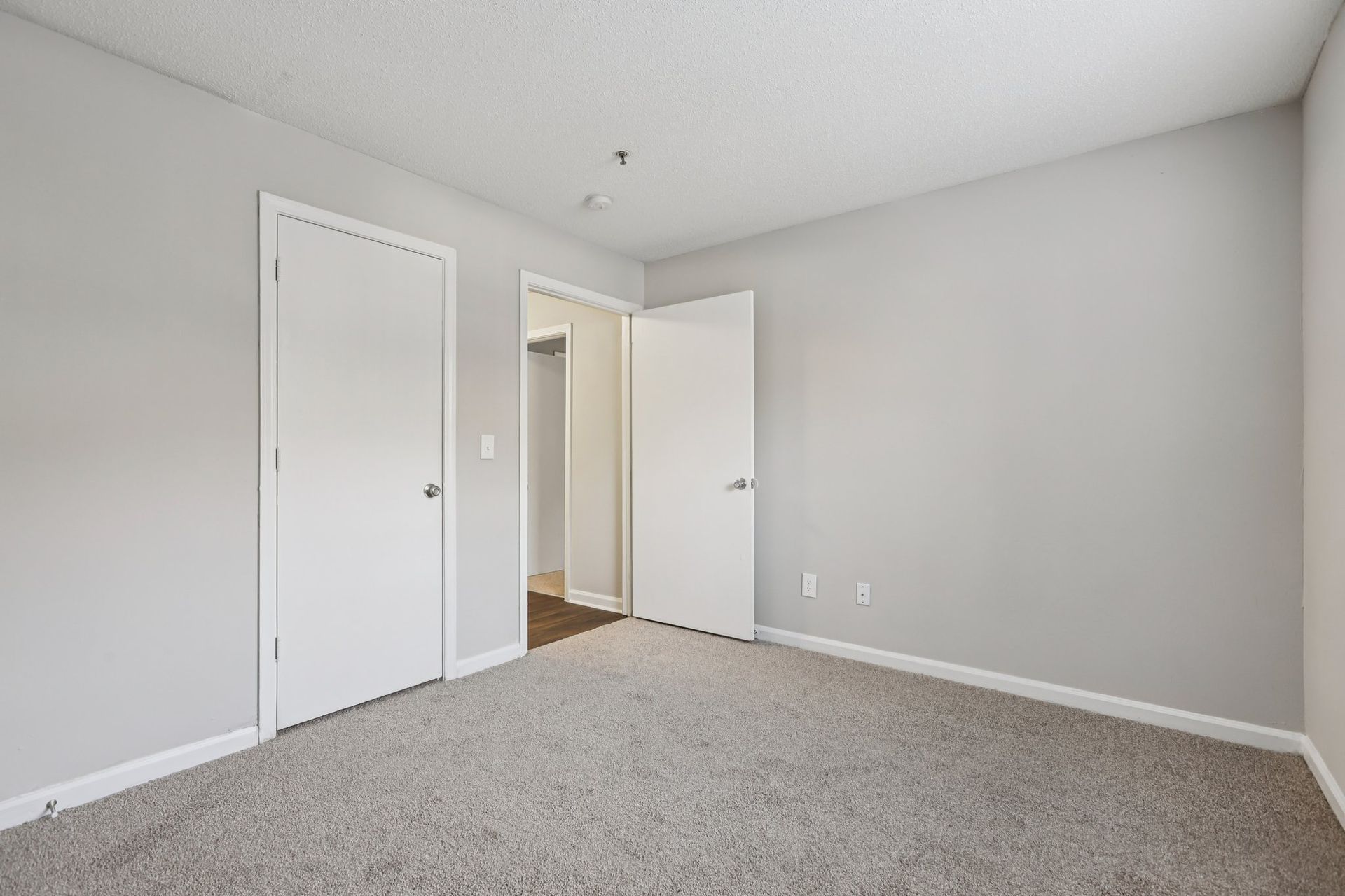 An empty bedroom with light gray walls, beige carpet, and two white doors, one leading to a hallway.
