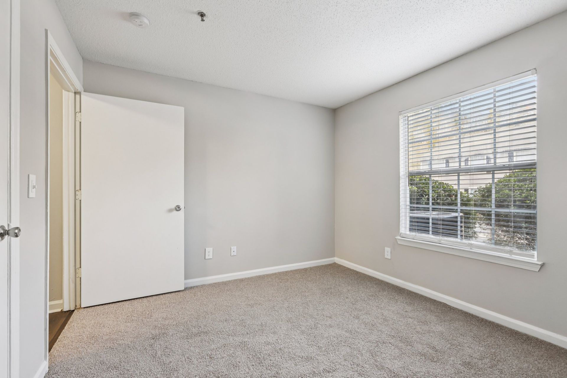 A bright, empty bedroom with grey walls, light grey carpet, a white door, and a large window with blinds.