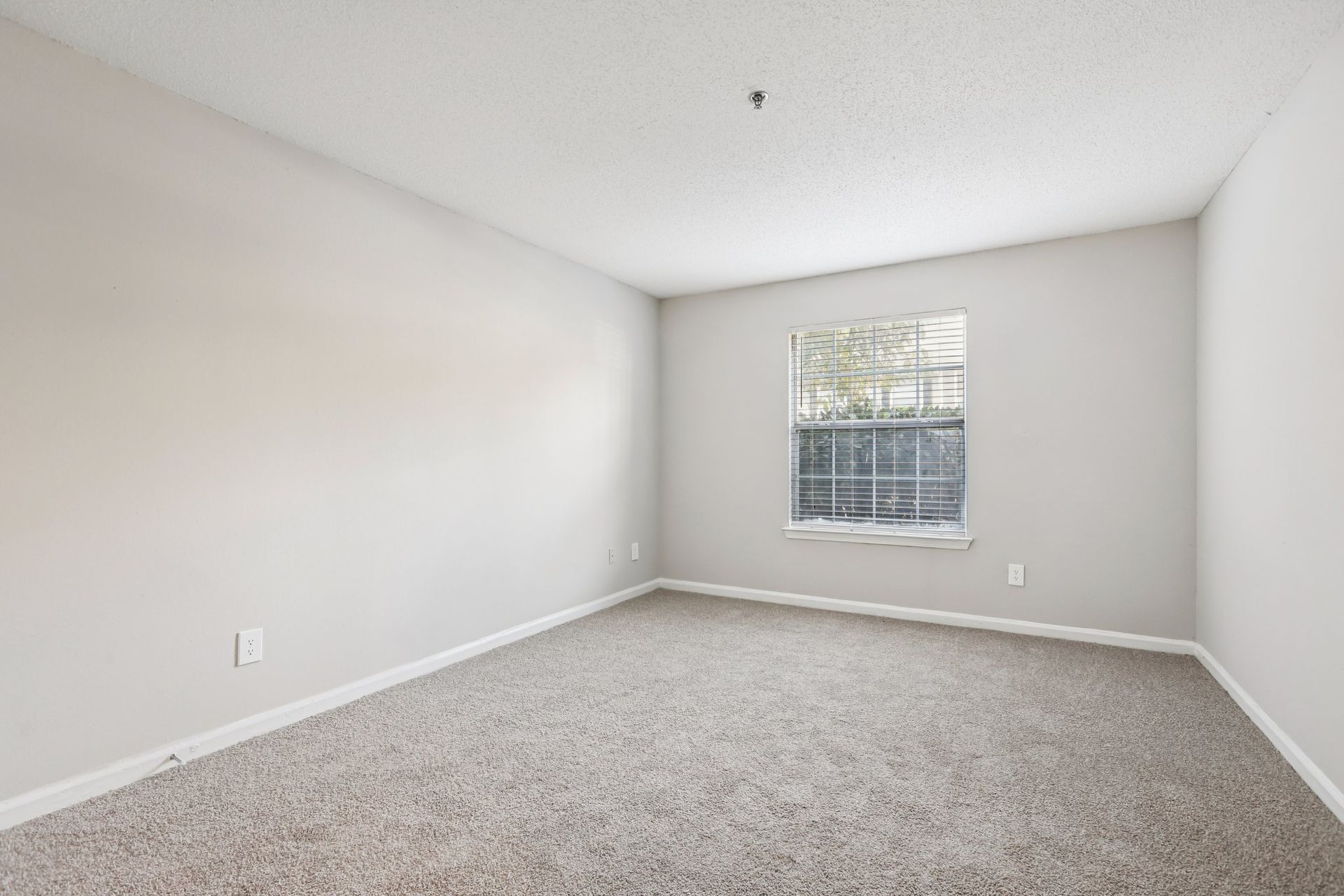 A bright, empty bedroom with light gray walls, plush carpet, and a single window showing a view of trees outside.