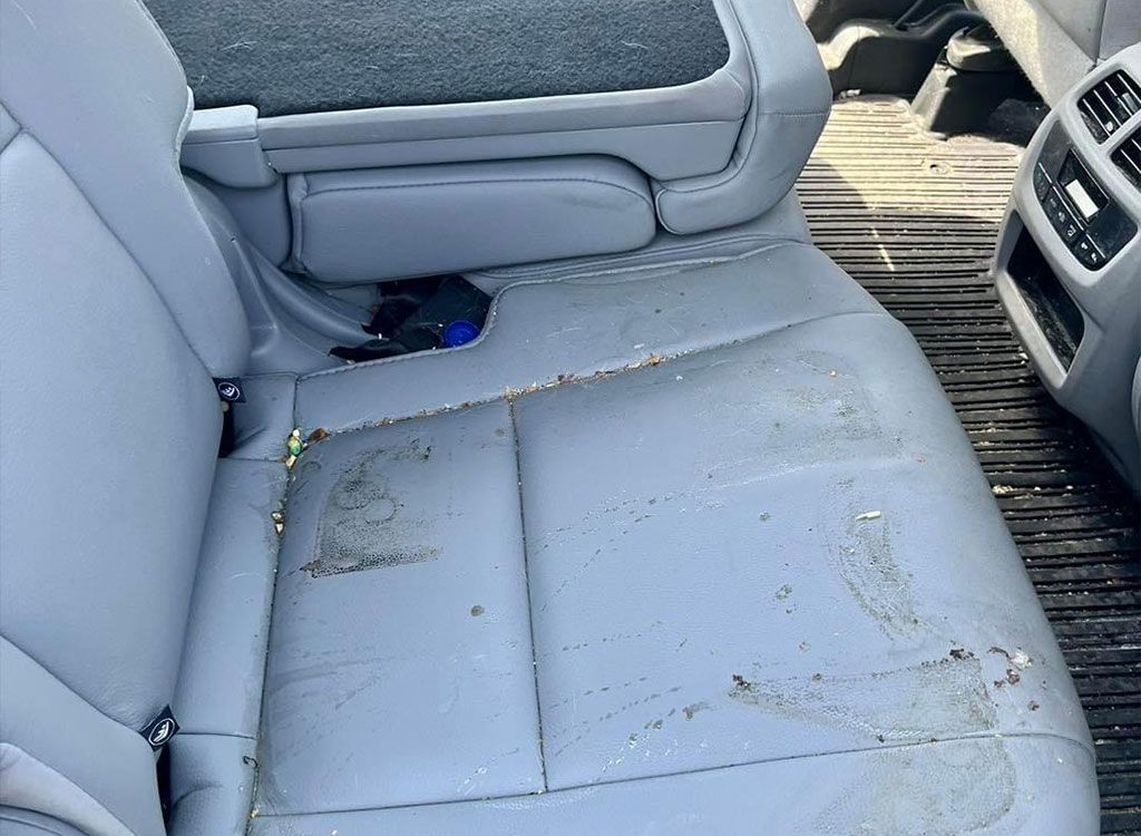 van interior detail before
