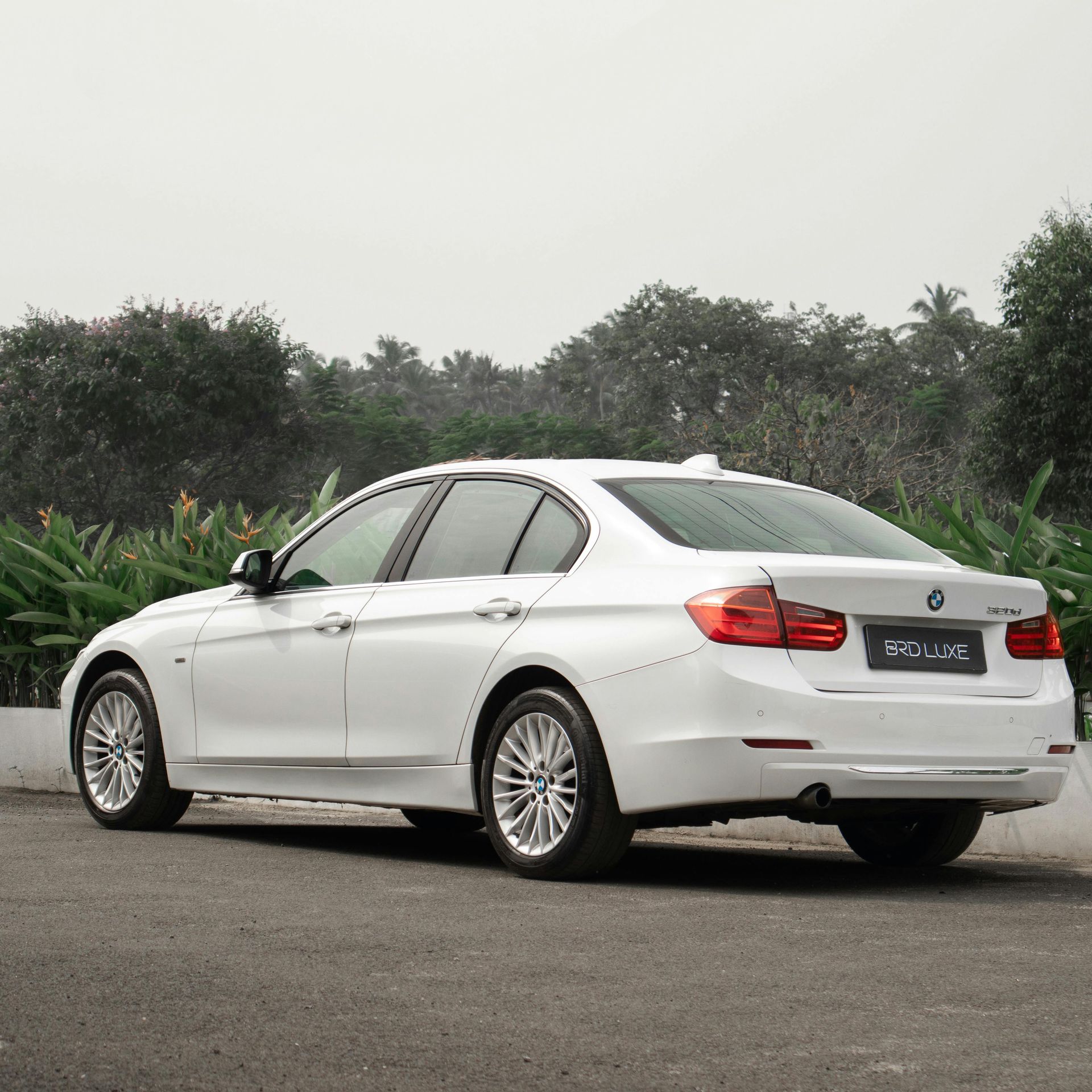 White sedan parked on a road with greenery in the background