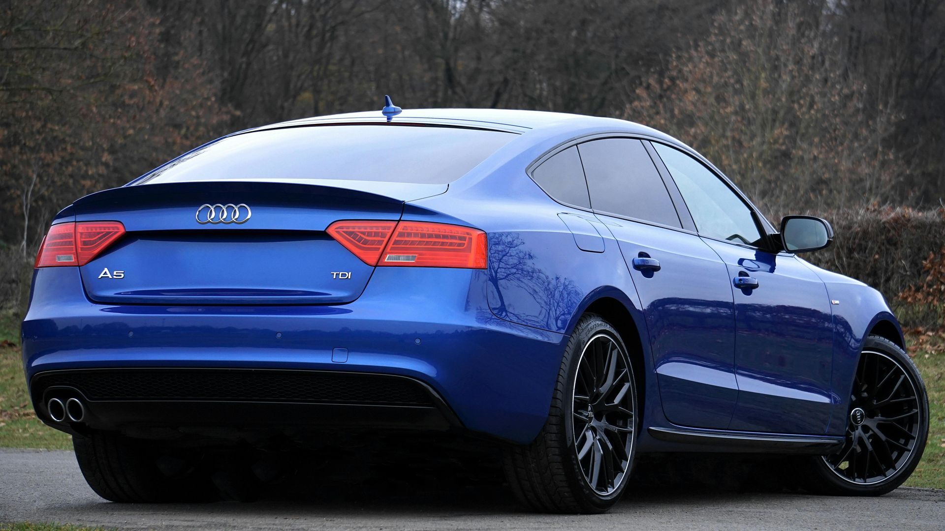 Blue Audi sedan parked on a wet road, viewed from the rear-left side