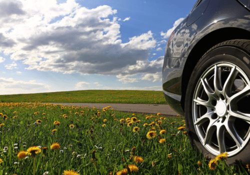 Car tire on a road beside a wildflower field under a cloudy blue sky