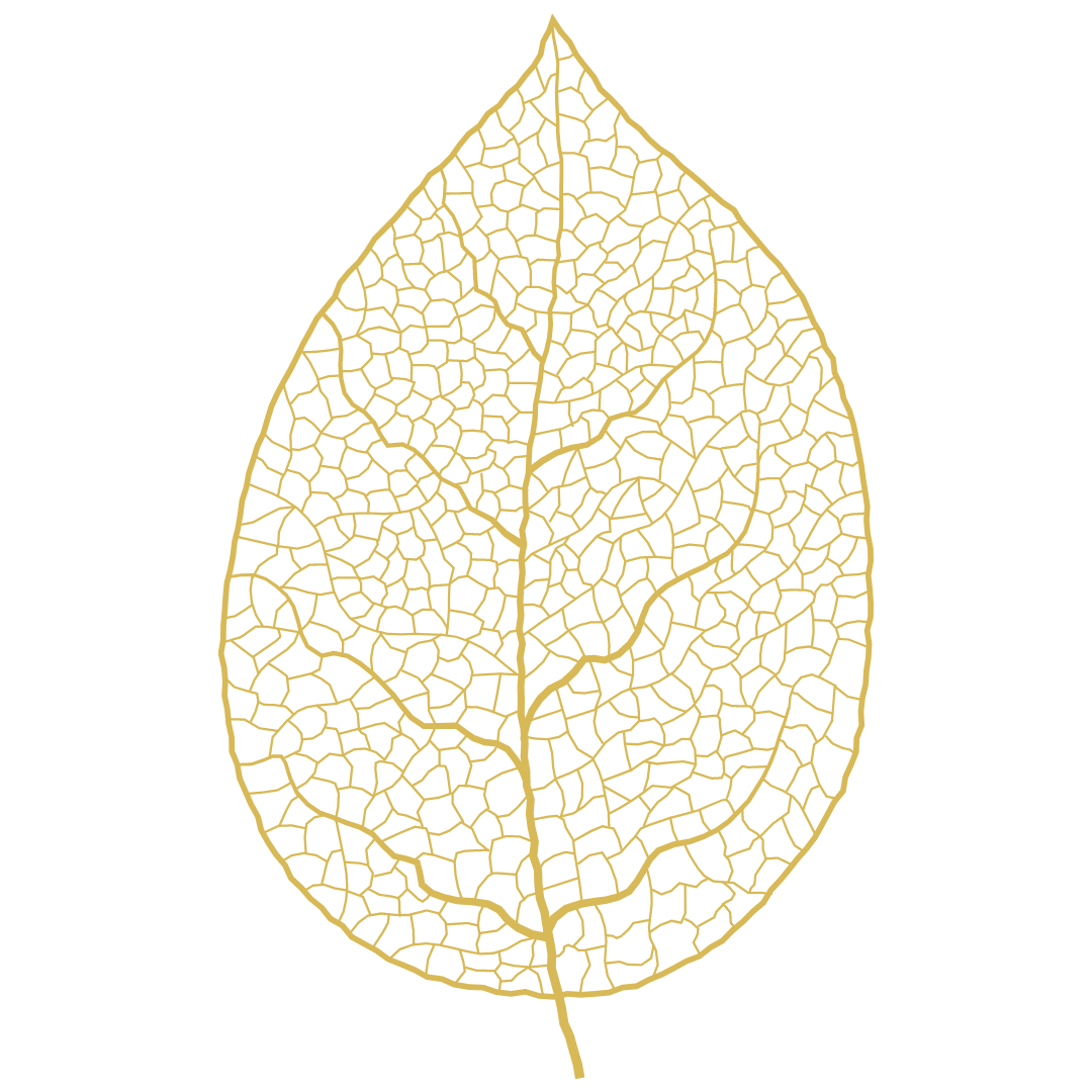 Releaf Massage Therapy - Gold Leaf