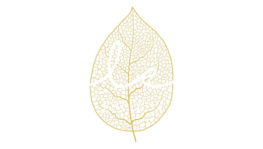 Releaf Massage Therapy - White Logo