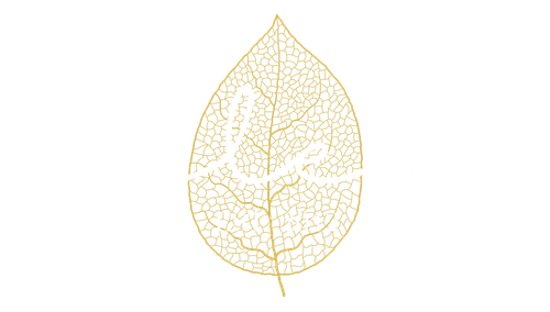 Releaf Massage Therapy - White Logo