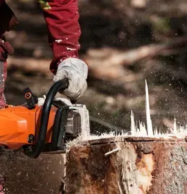 Person using an orange chainsaw to cut a tree stump, with wood chips flying.