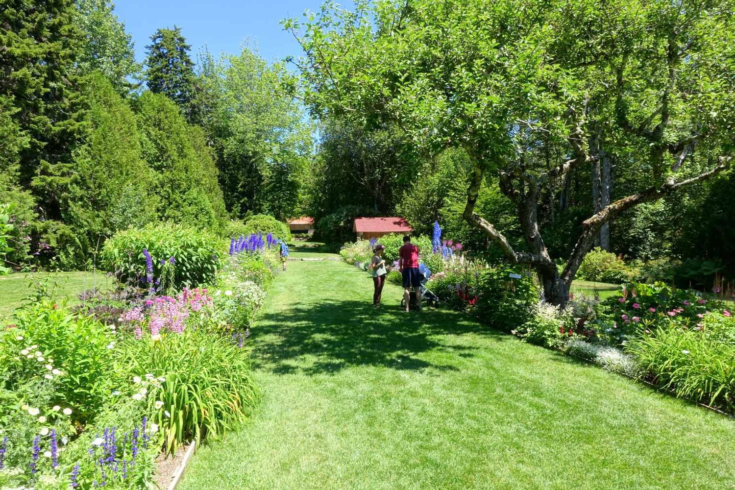 Beautiful garden in Maine on Mount Desert Island