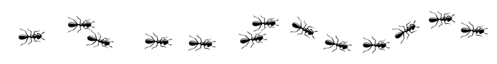 Ants