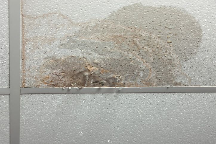 Common Commercial Roofing Problems for Florida Businesses